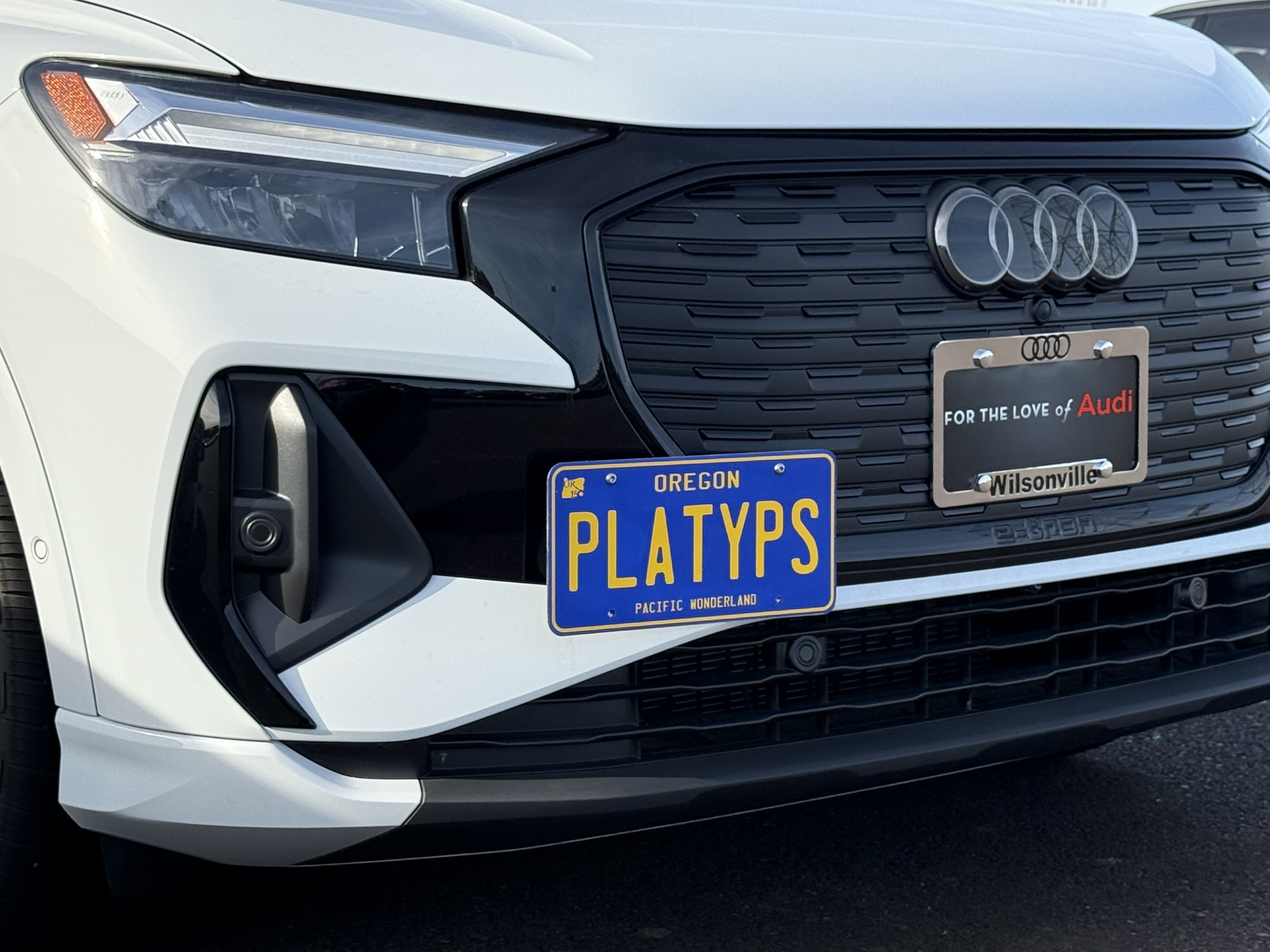The Platypus License Plate Mount for Audi Q4 e-tron 2022 to 2024
