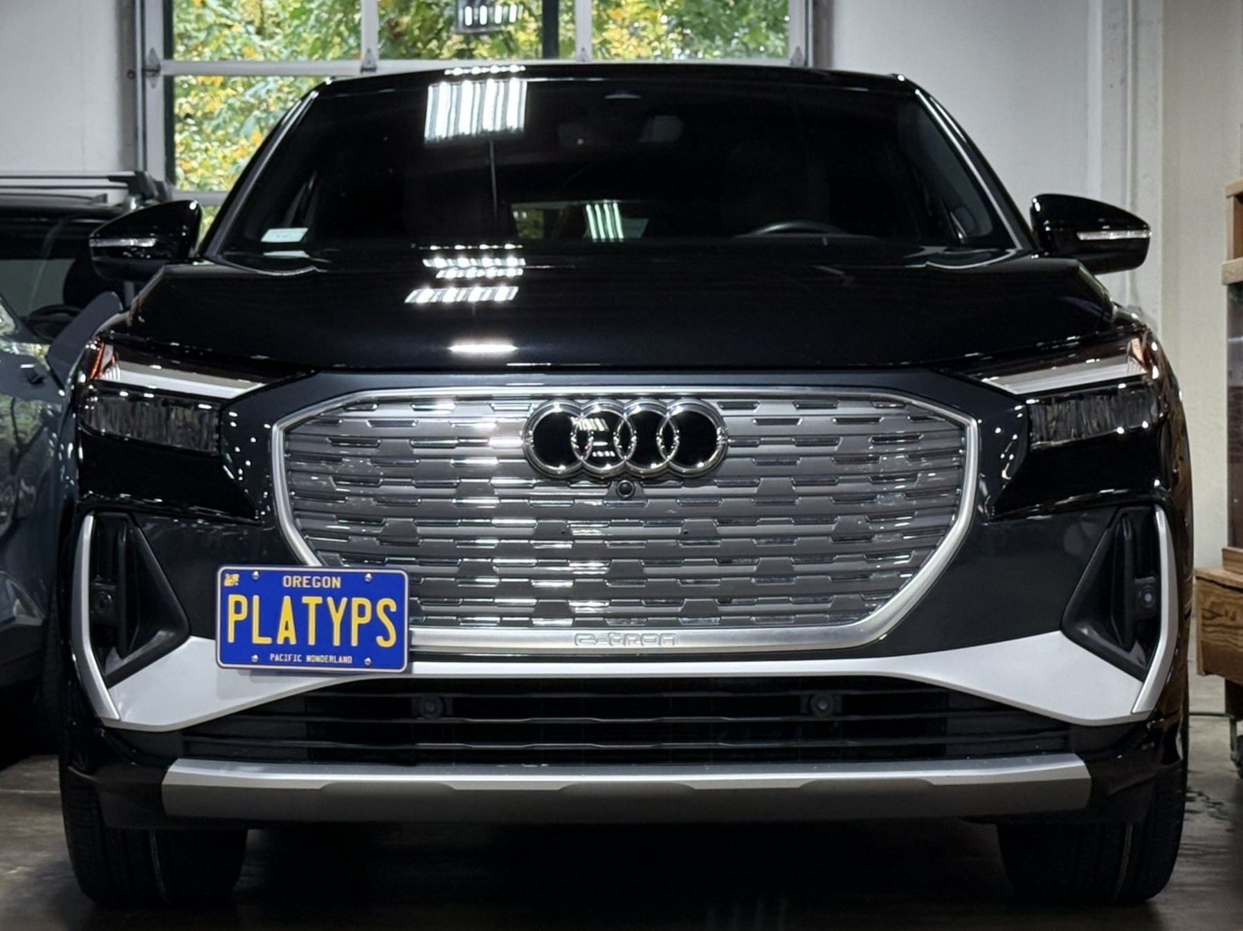 The Platypus License Plate Mount for Audi Q4 Sportback e-tron 2022 to 2025