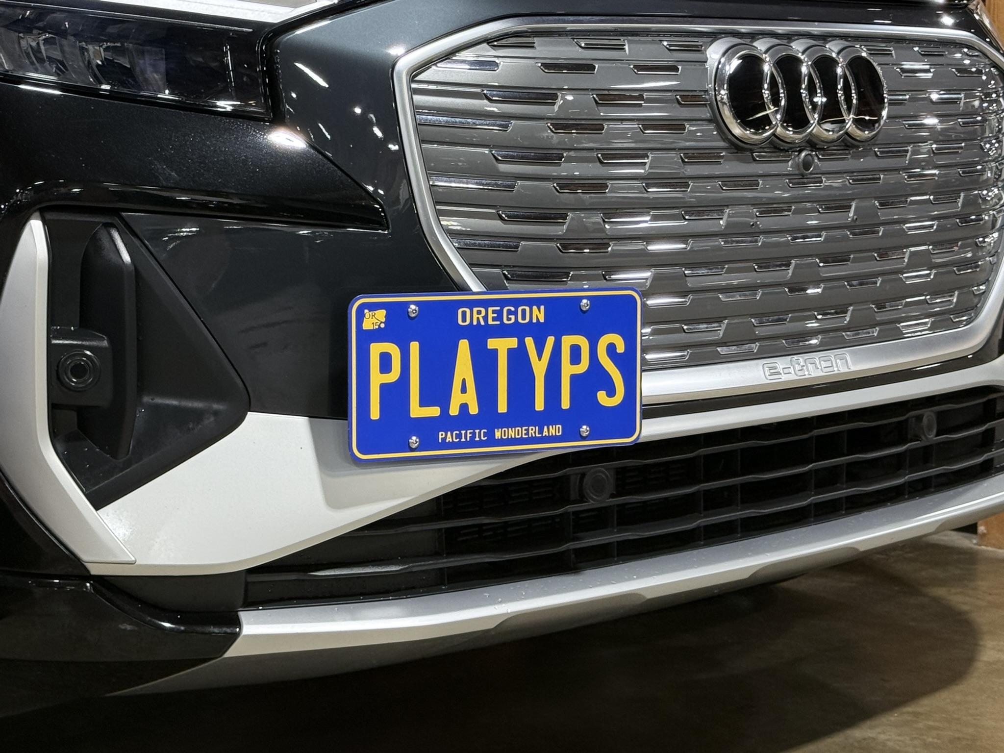 The Platypus License Plate Mount for Audi Q4 Sportback e-tron 2022 to 2025