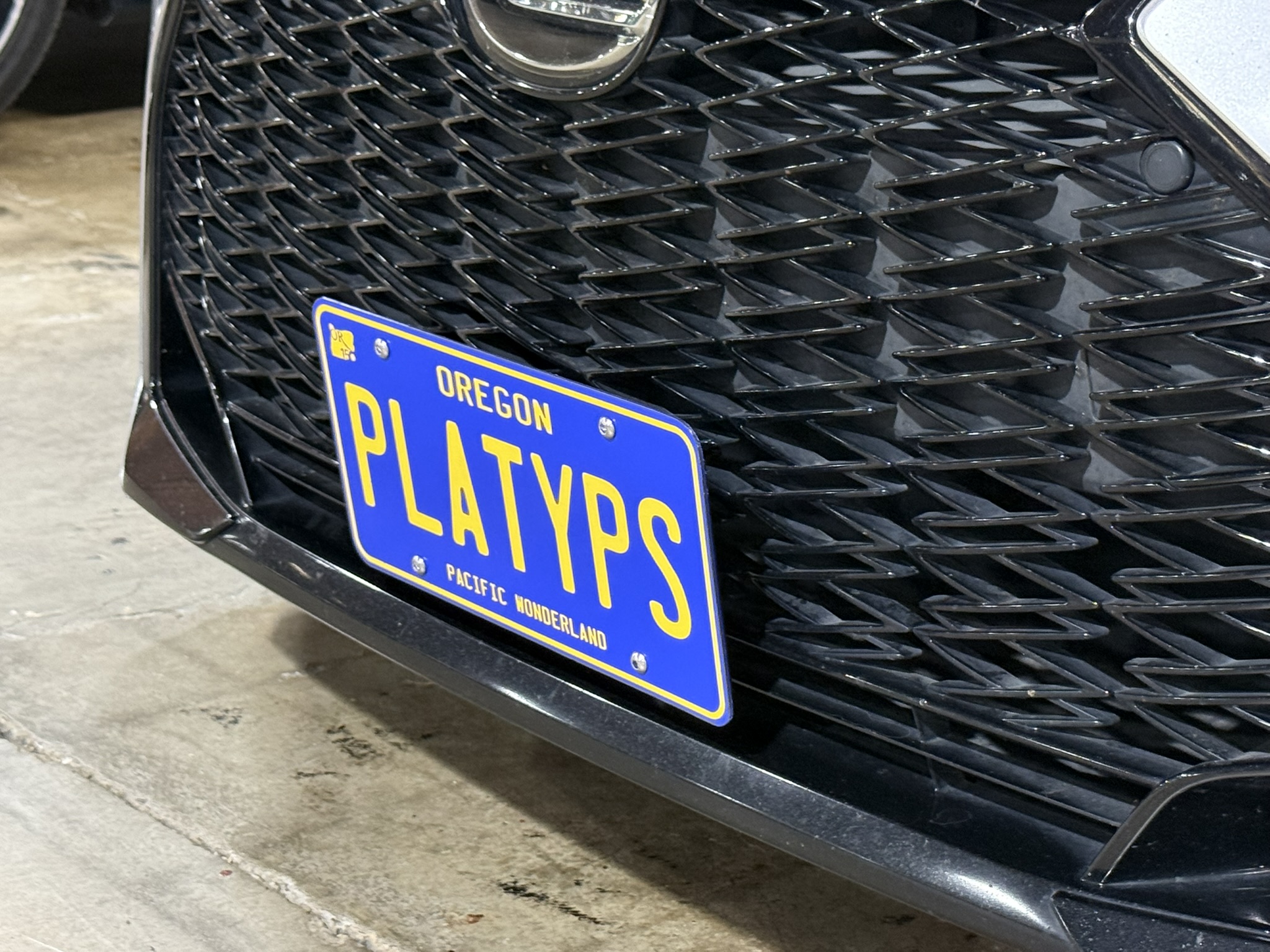 Due to the shape & styling of the Lexus IS grille, the Platypus will be slightly angled downward if installed in the same location as in the pictures. 