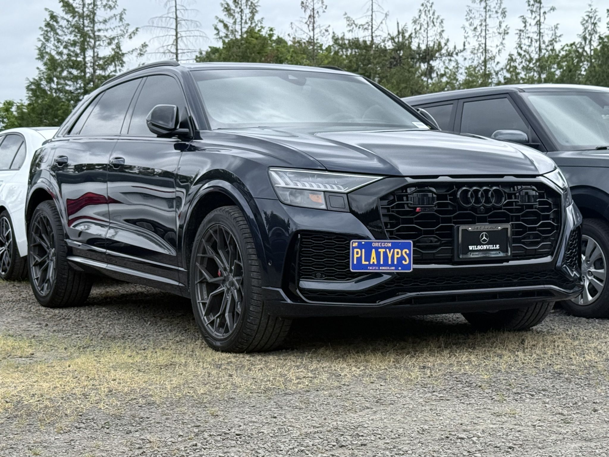 The Platypus License Plate Mount for Audi RS Q8 2020 to 2025