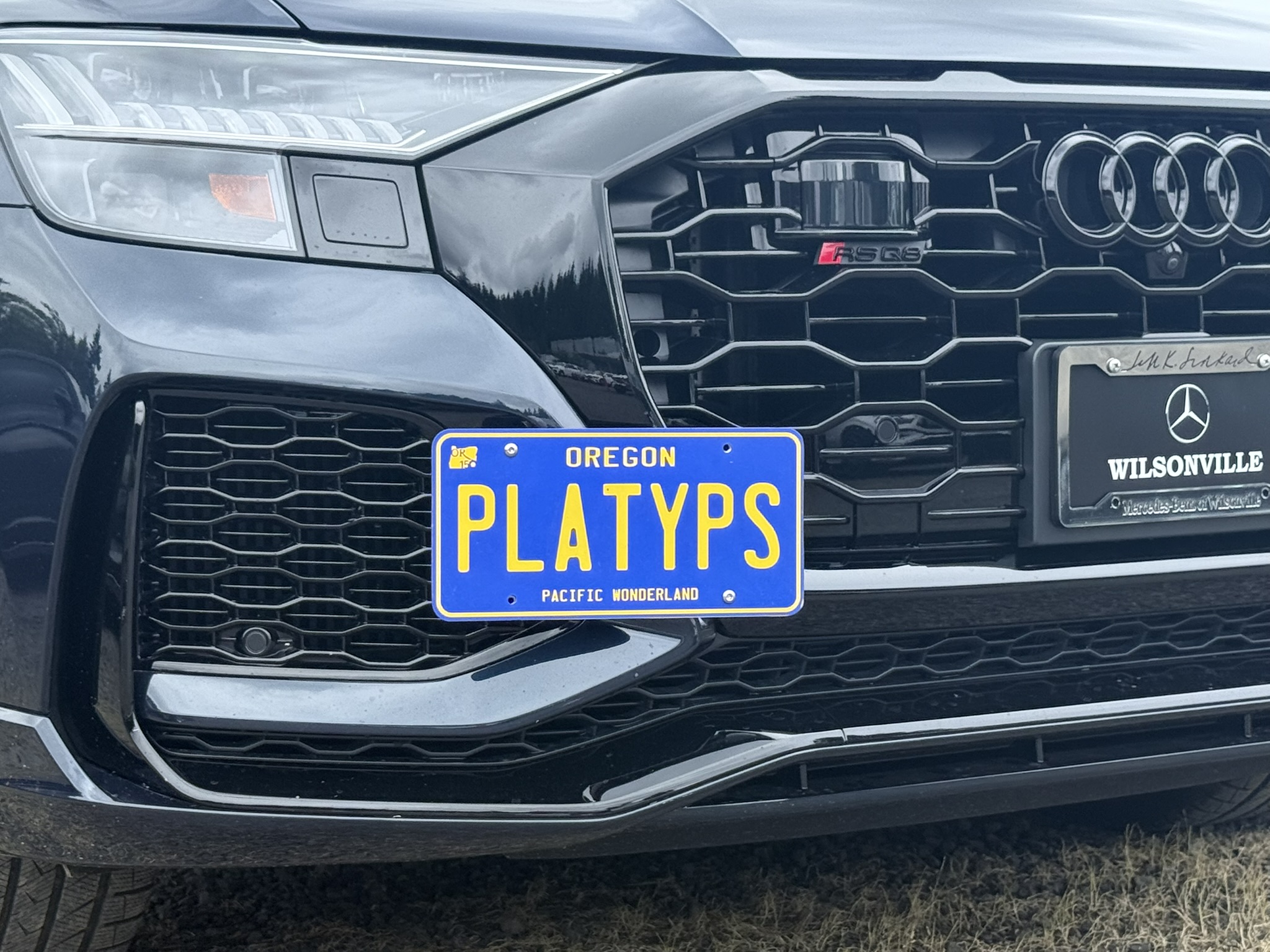 The Platypus License Plate Mount for Audi RS Q8 2020 to 2025