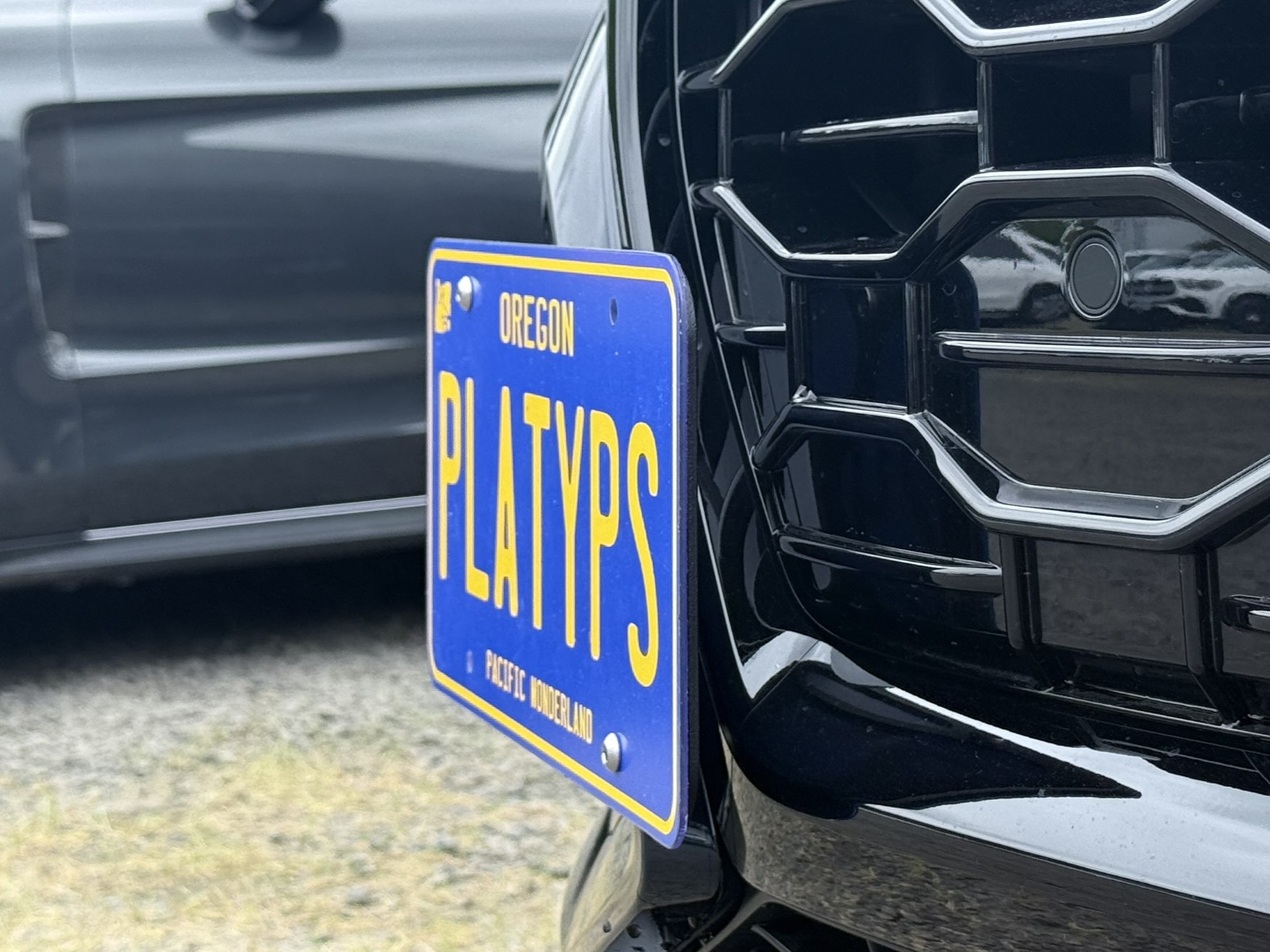 The Platypus License Plate Mount for Audi RS Q8 2020 to 2025