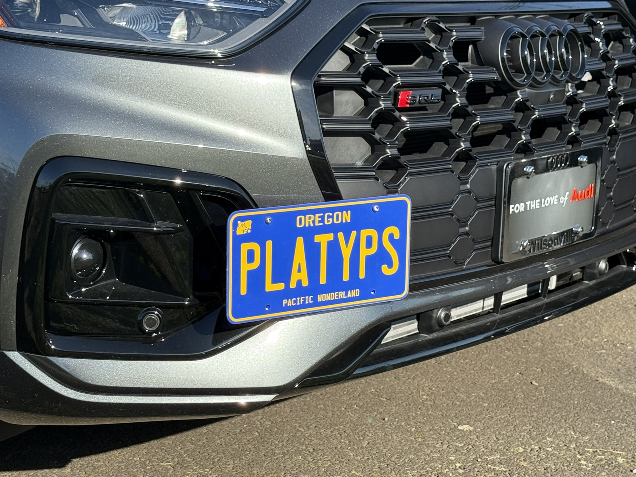 The Platypus License Plate Mount for Audi SQ5 80A 2018 to 2025