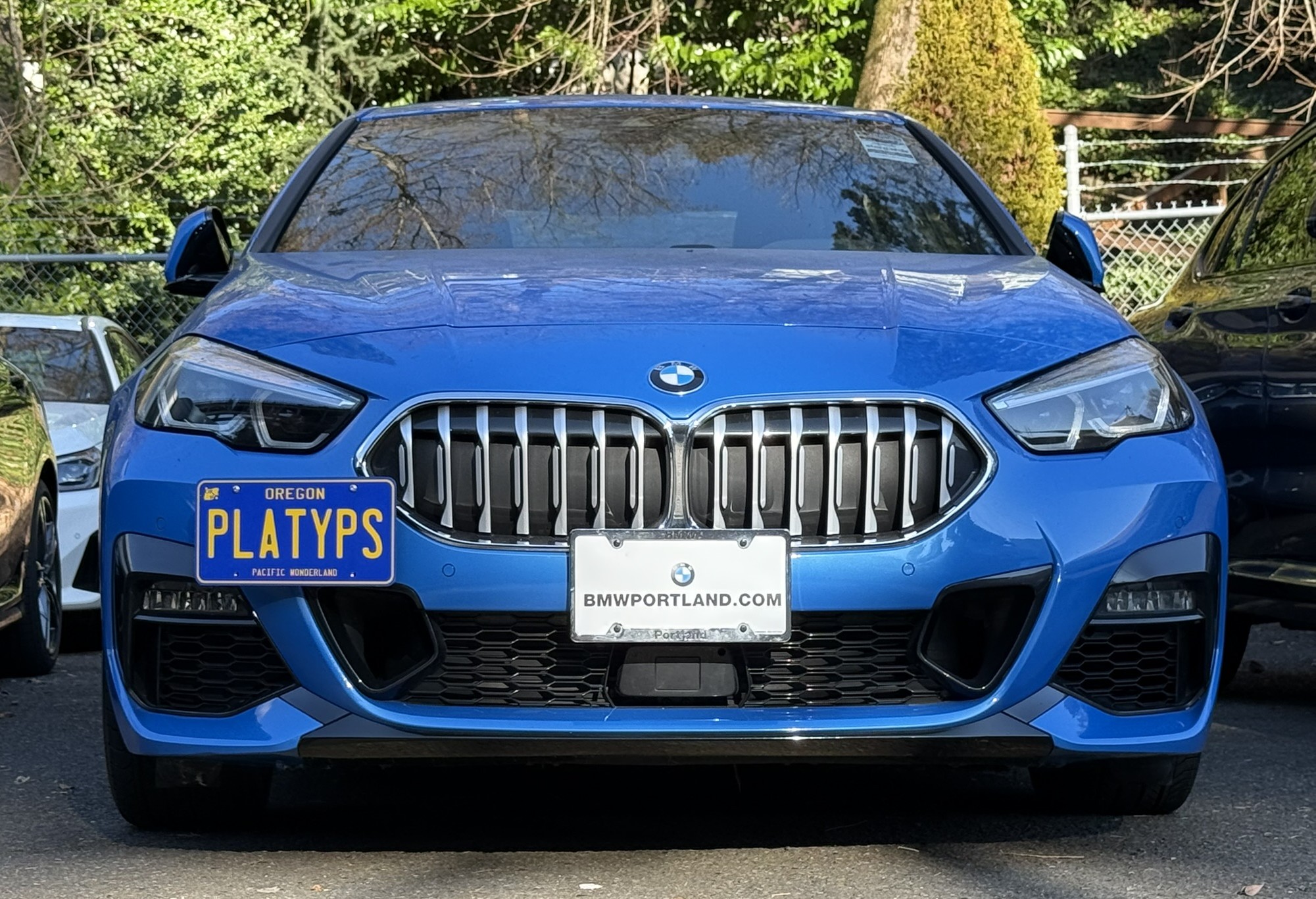 https://cdn11.bigcommerce.com/s-351ed/images/stencil/{:size}/products/23381/279454/the_platypus_license_plate_mount_for_bmw_2_series_gran_coupe_f44_2020_to_2024_85KF075_23381__63720.1737997754.jpg?c=2