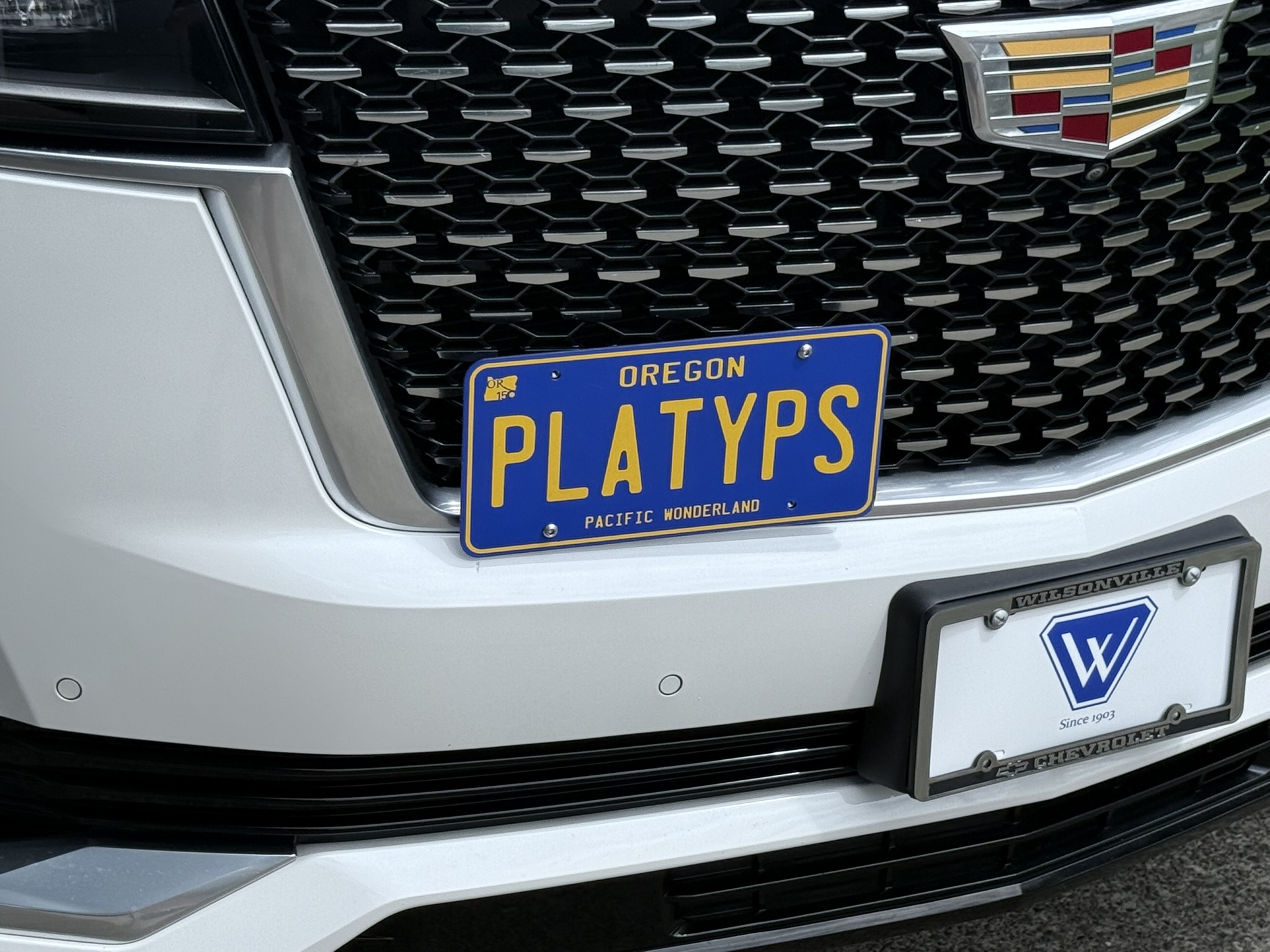 The Platypus License Plate Mount for Cadillac Escalade 5th gen 2021 to 2024