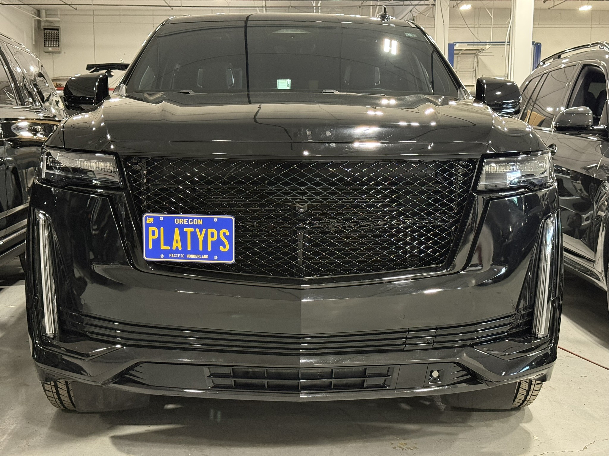 The Platypus License Plate Mount for Cadillac Escalade ESV 5th gen 2021 to 2025