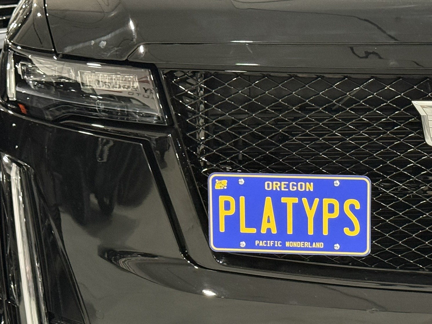 The Platypus License Plate Mount for Cadillac Escalade ESV 5th gen 2021 to 2025
