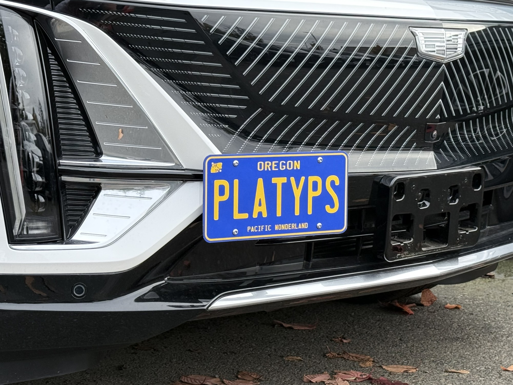 The Platypus License Plate Mount for Cadillac LYRIQ 2023 to 2026