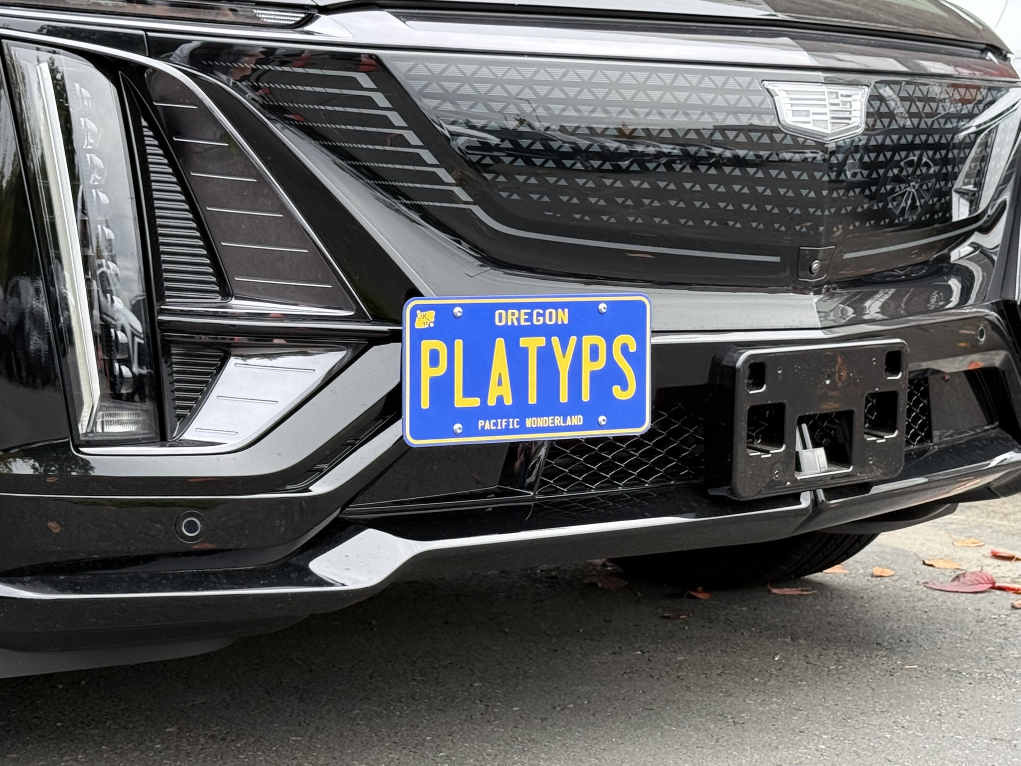 The Platypus License Plate Mount for Cadillac LYRIQ 2023 to 2026