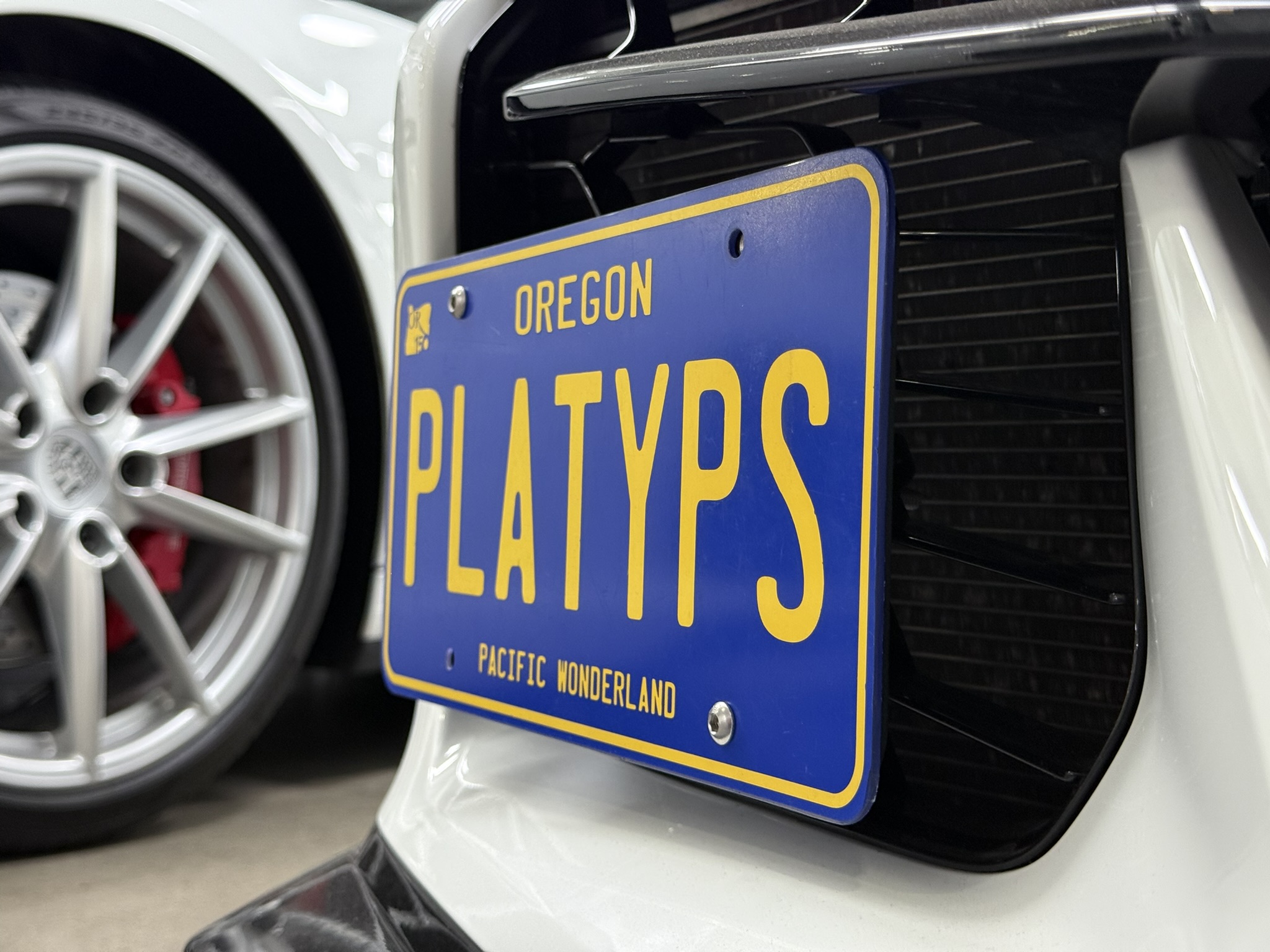 The Platypus License Plate Mount installed on a 2023 C8 Corvette Z06