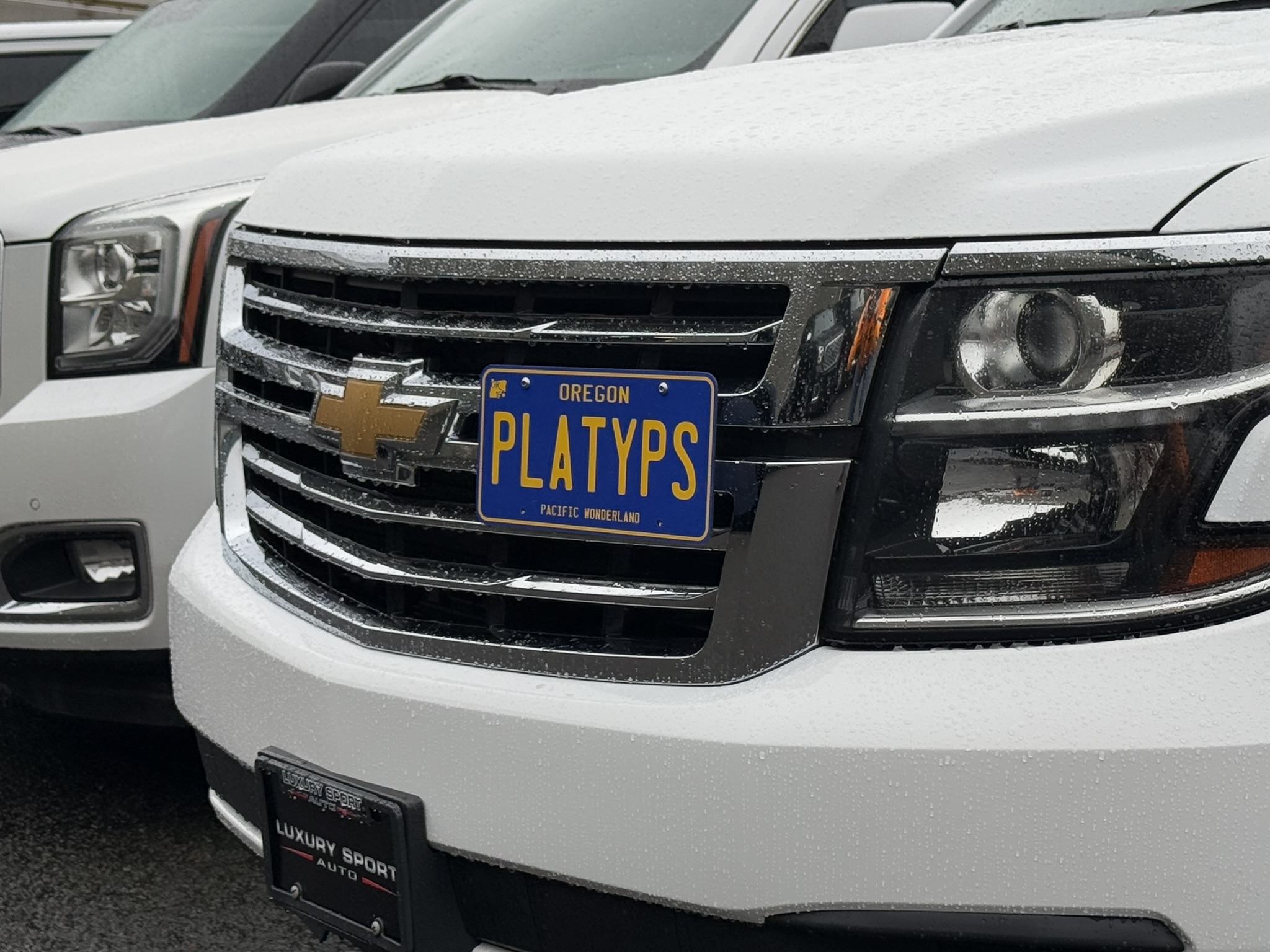 The Platypus License Plate Mount for Chevrolet Tahoe 4rd gen 2015 to 2024