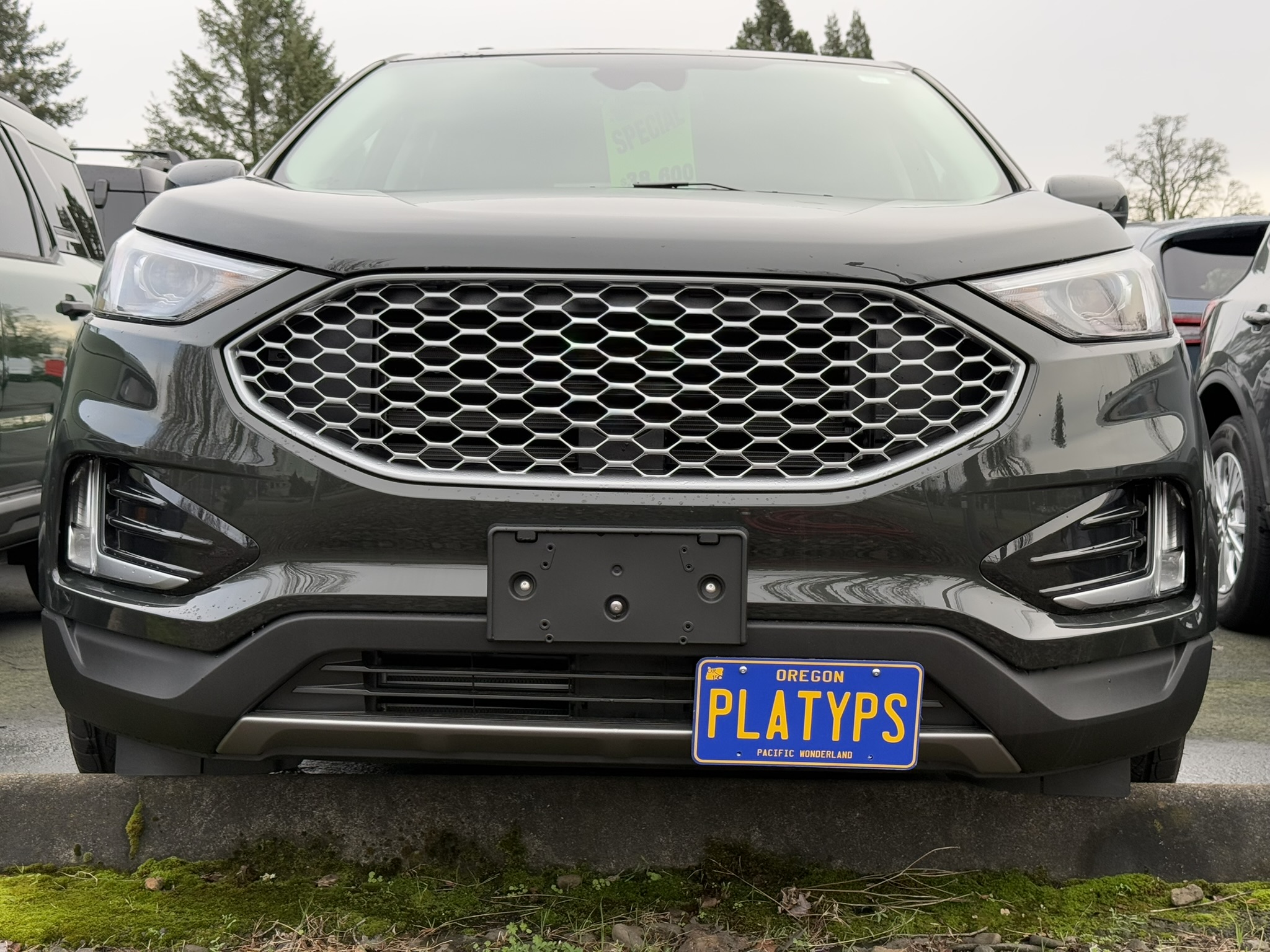https://cdn11.bigcommerce.com/s-351ed/images/stencil/{:size}/products/23726/252405/the_platypus_license_plate_mount_for_ford_edge_2nd_gen_2015_to_2024_UXD53AQ_23726__17003.1717540308.jpg?c=2