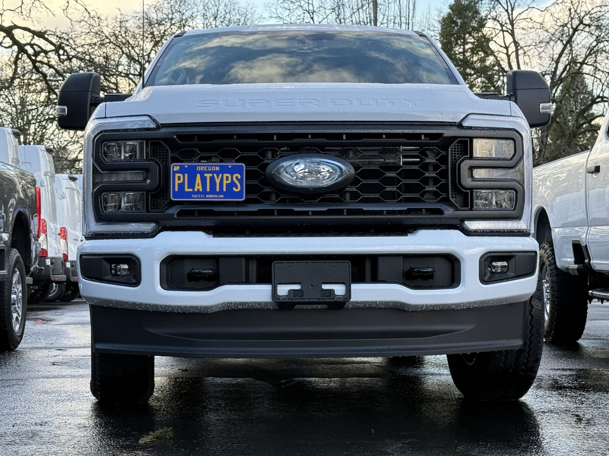 https://cdn11.bigcommerce.com/s-351ed/images/stencil/{:size}/products/23759/251794/the_platypus_license_plate_mount_for_ford_f-250_super_duty_5th_gen_2023_to_2023_NX4CJ4H_23759__69880.1717538260.jpg?c=2