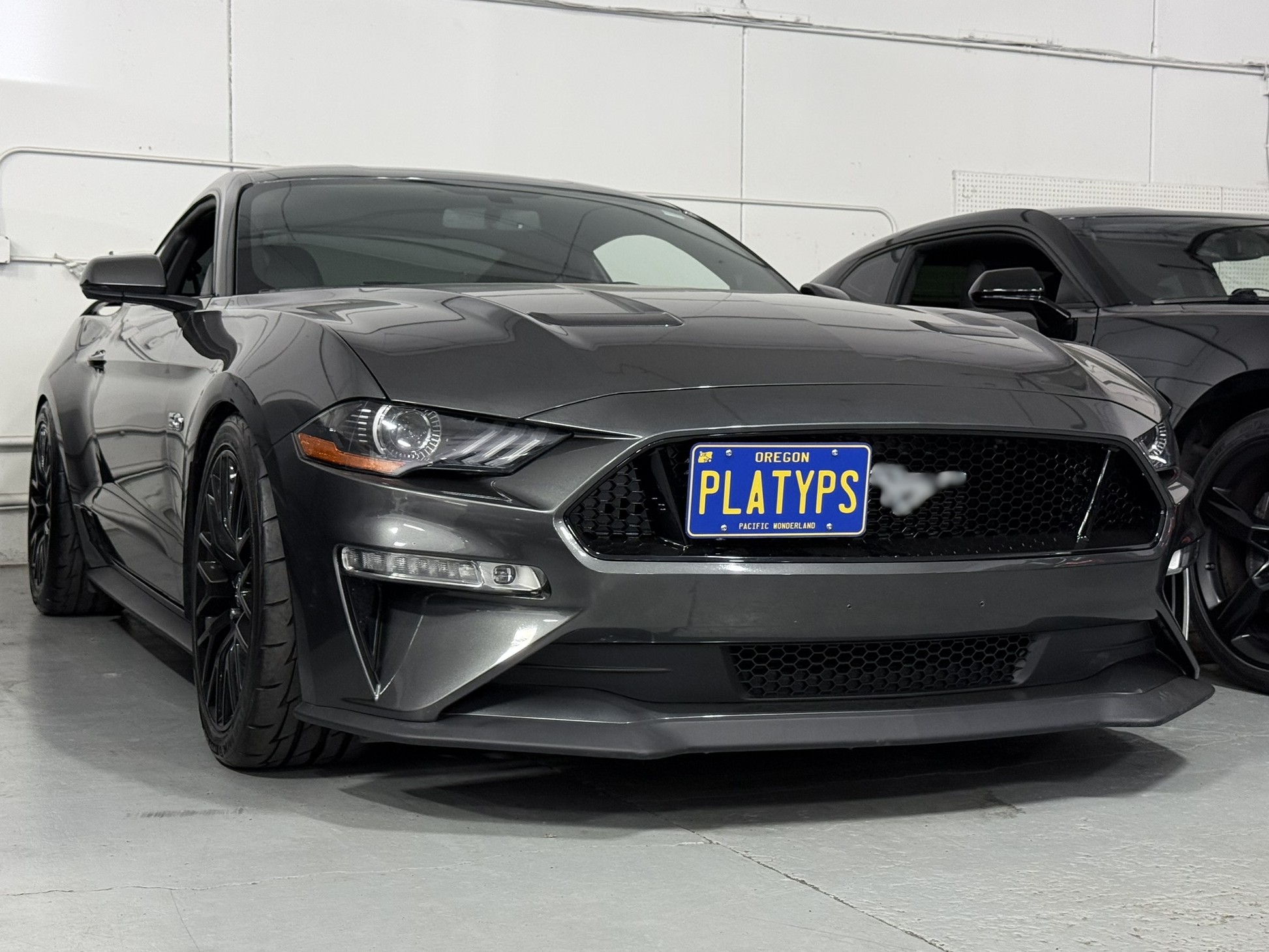 https://cdn11.bigcommerce.com/s-351ed/images/stencil/{:size}/products/23786/251352/the_platypus_license_plate_mount_for_ford_mustang_6th_gen_2015_to_2023_YCEFTSD_23786__62308.1717536053.jpg?c=2