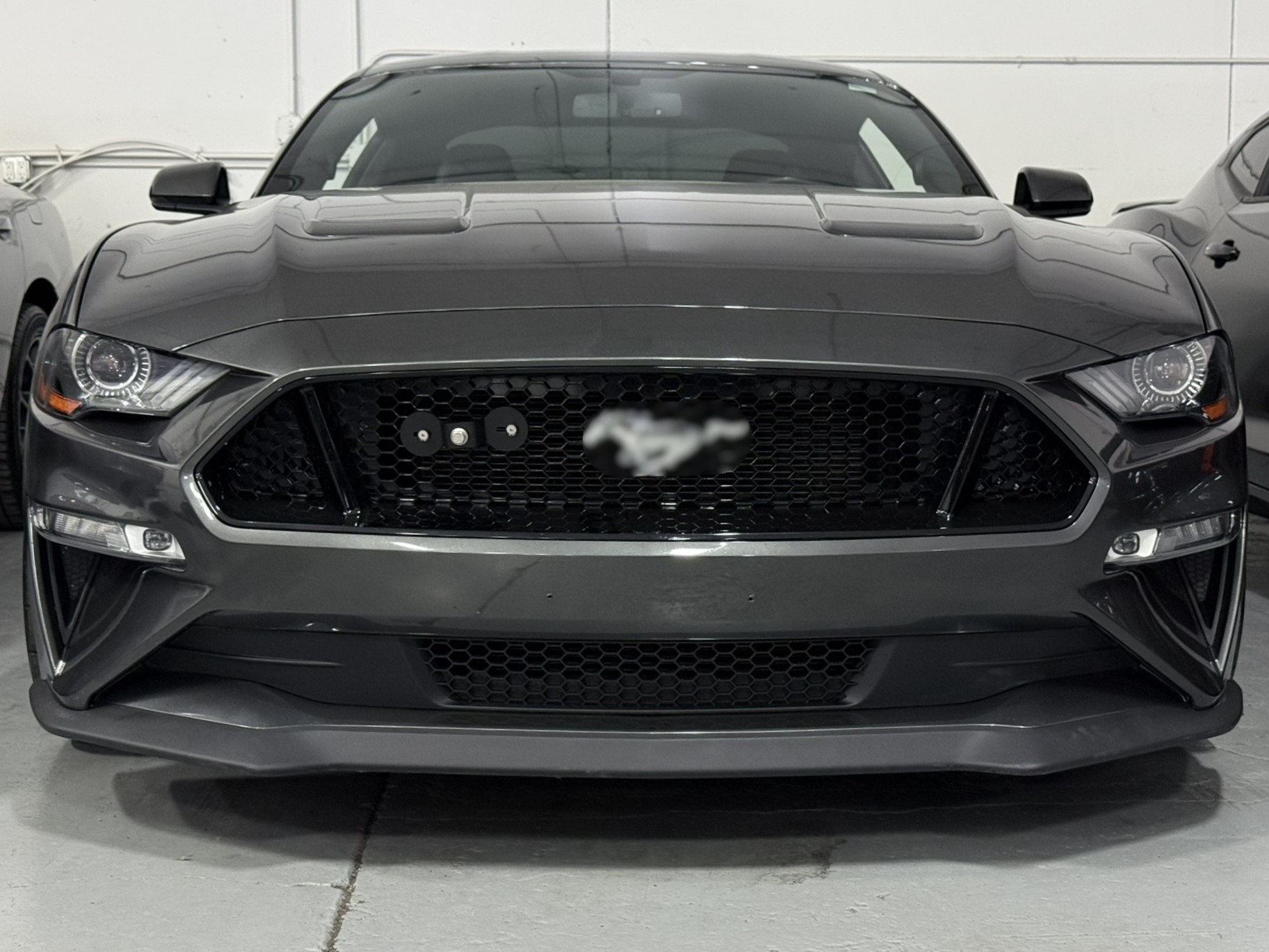 The Platypus License Plate Mount for Ford Mustang 6th gen 2015 to 2023