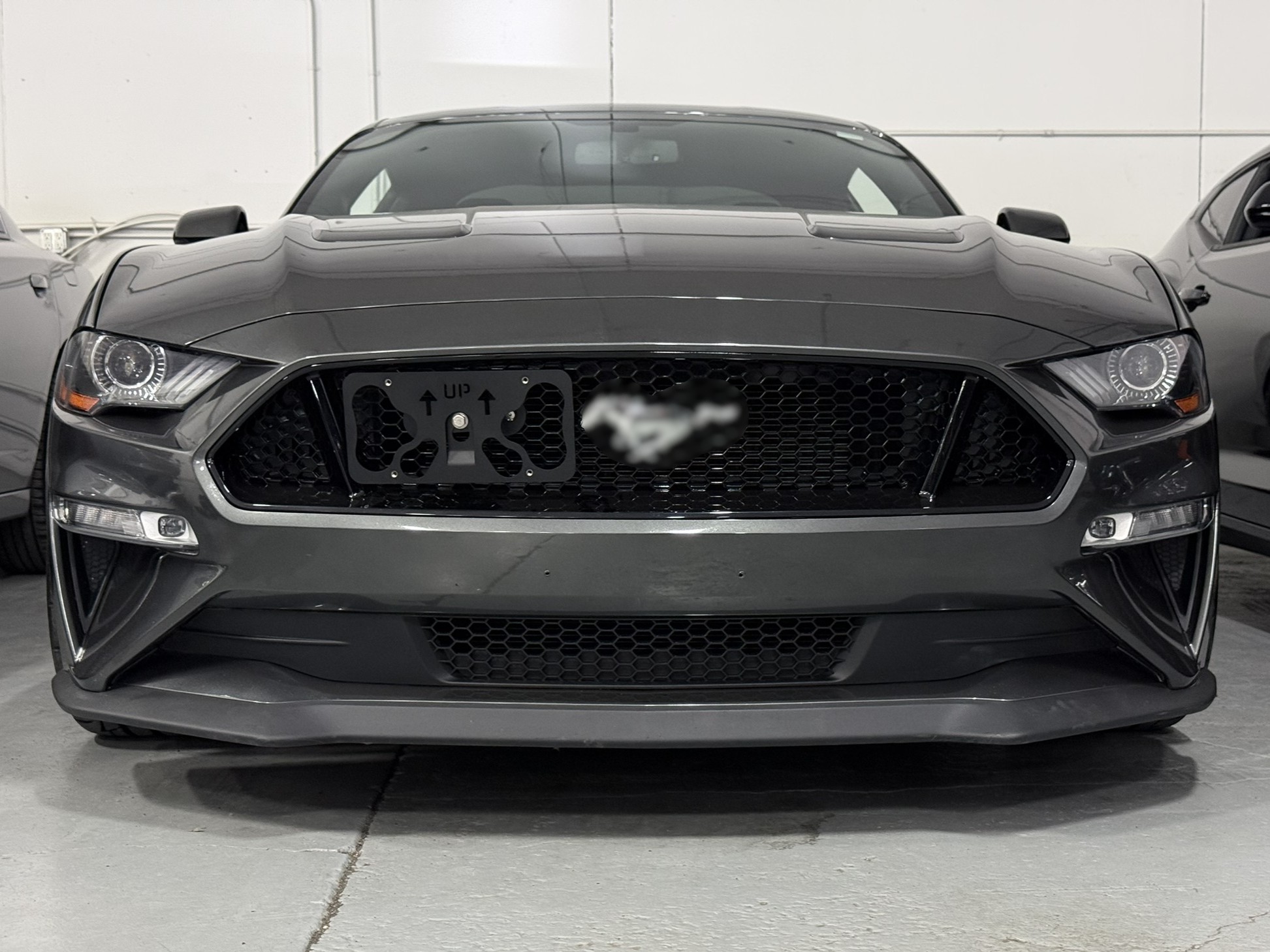 The Platypus License Plate Mount for Ford Mustang 6th gen 2015 to 2023