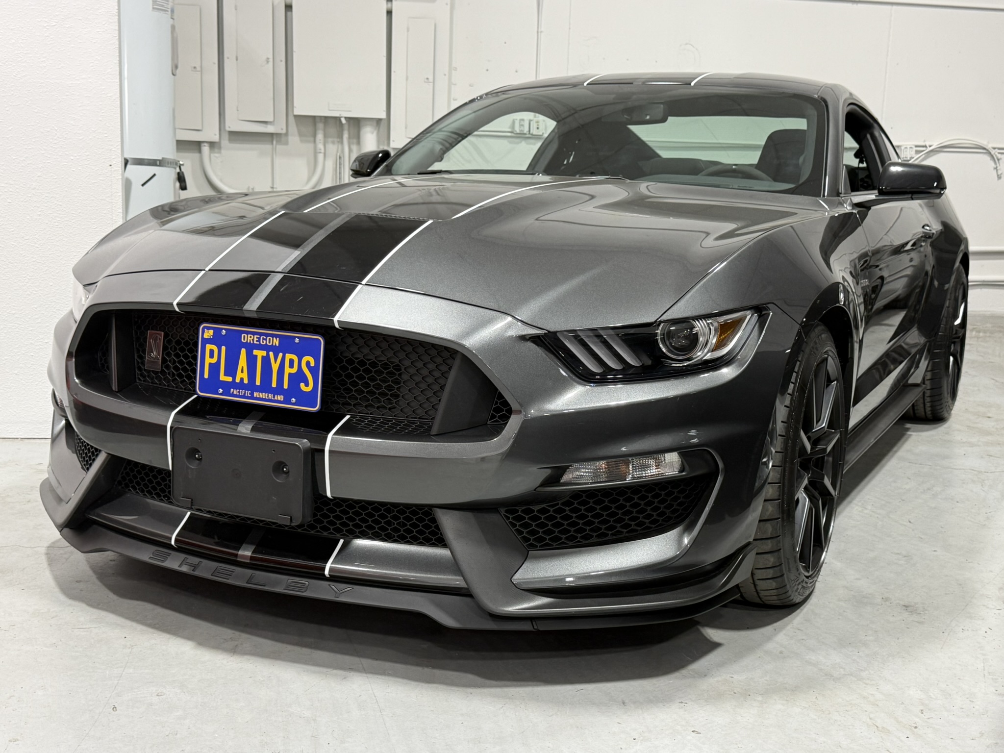 The Platypus License Plate Mount shown on a 6th gen Ford Mustang Shelby GT350. 