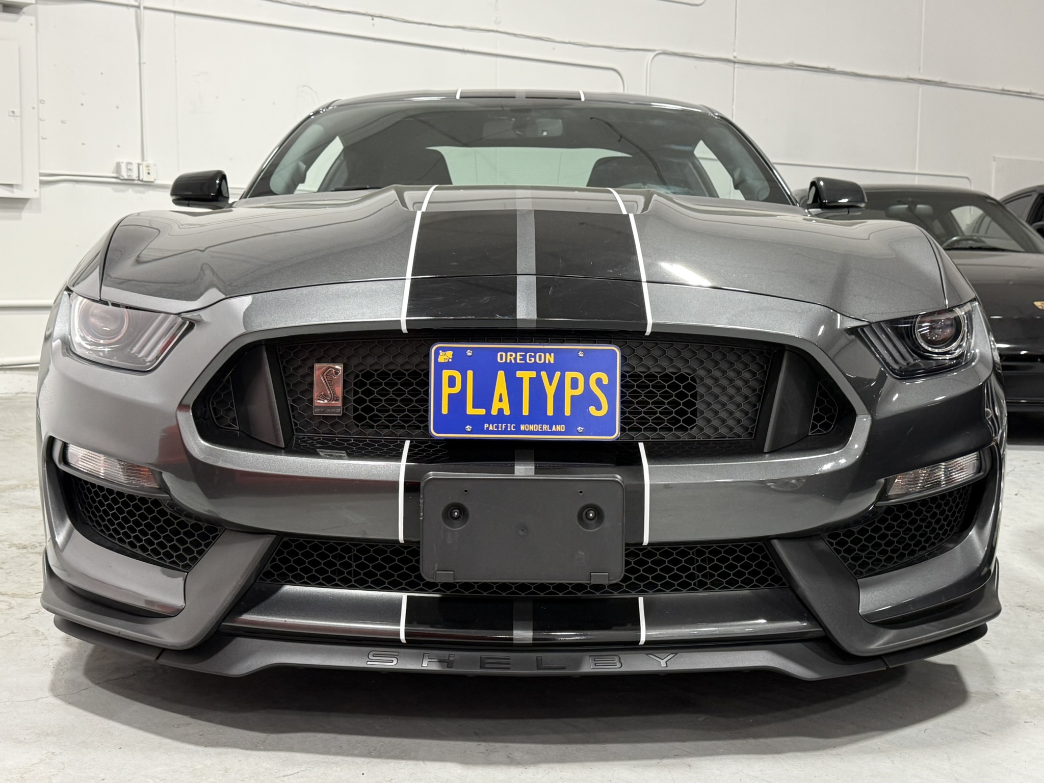 The Platypus License Plate Mount for Ford Mustang 6th gen 2015 to 2023