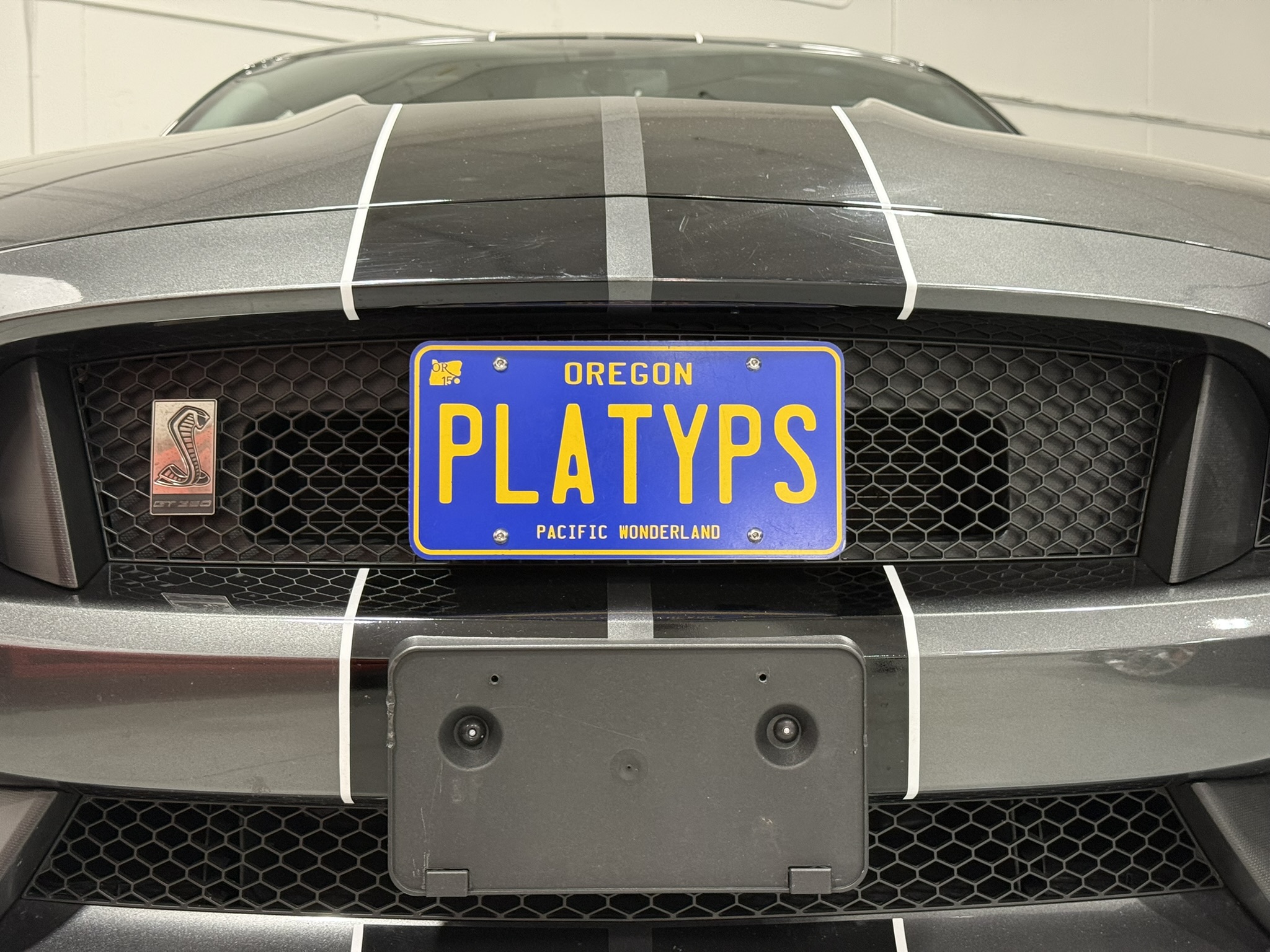 The Platypus License Plate Mount for Ford Mustang 6th gen 2015 to 2023