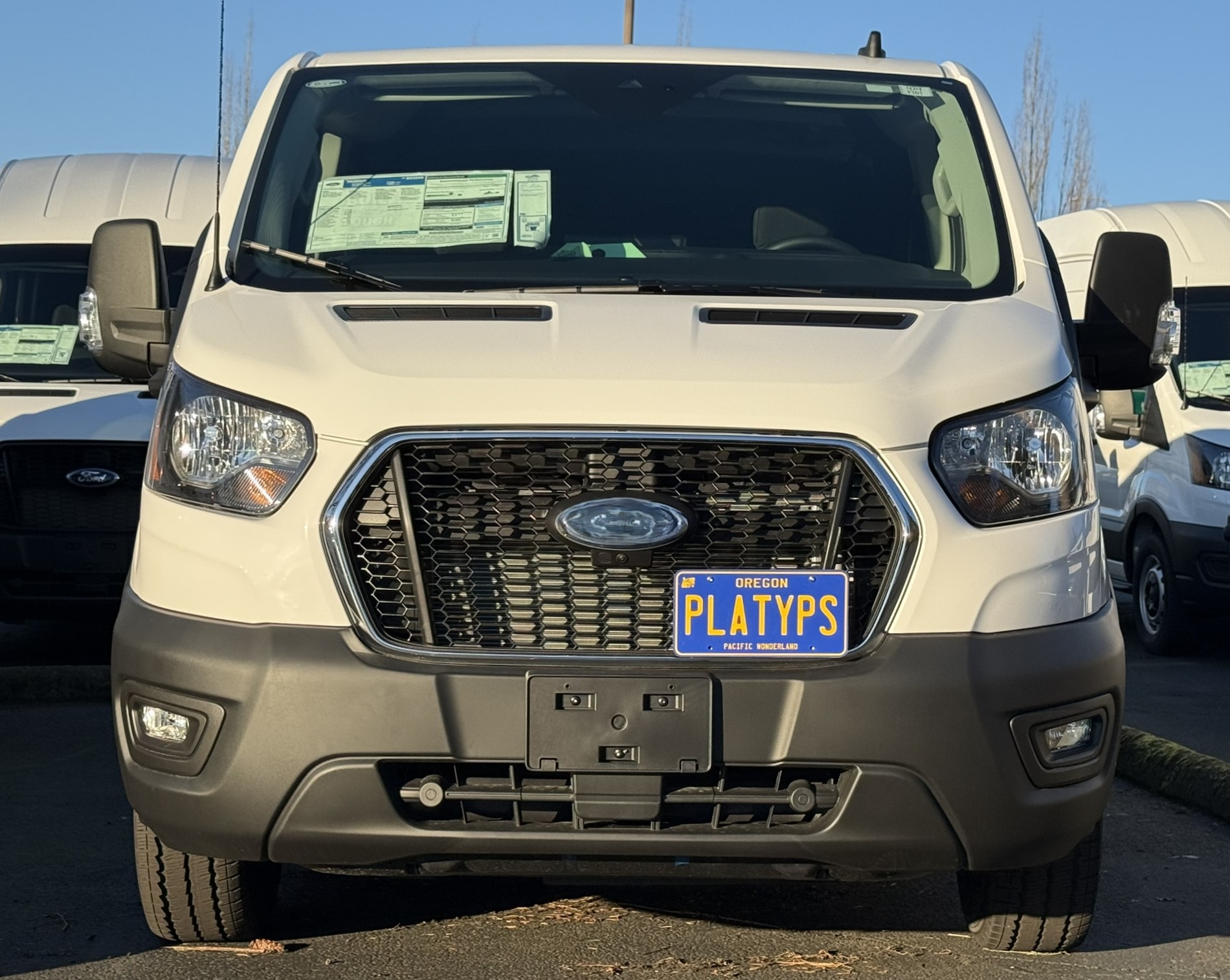 https://cdn11.bigcommerce.com/s-351ed/images/stencil/{:size}/products/23798/251148/the_platypus_license_plate_mount_for_ford_transit_cargo_van_2020_to_2024_TKRP9AS_23798__30993.1717535002.jpg?c=2