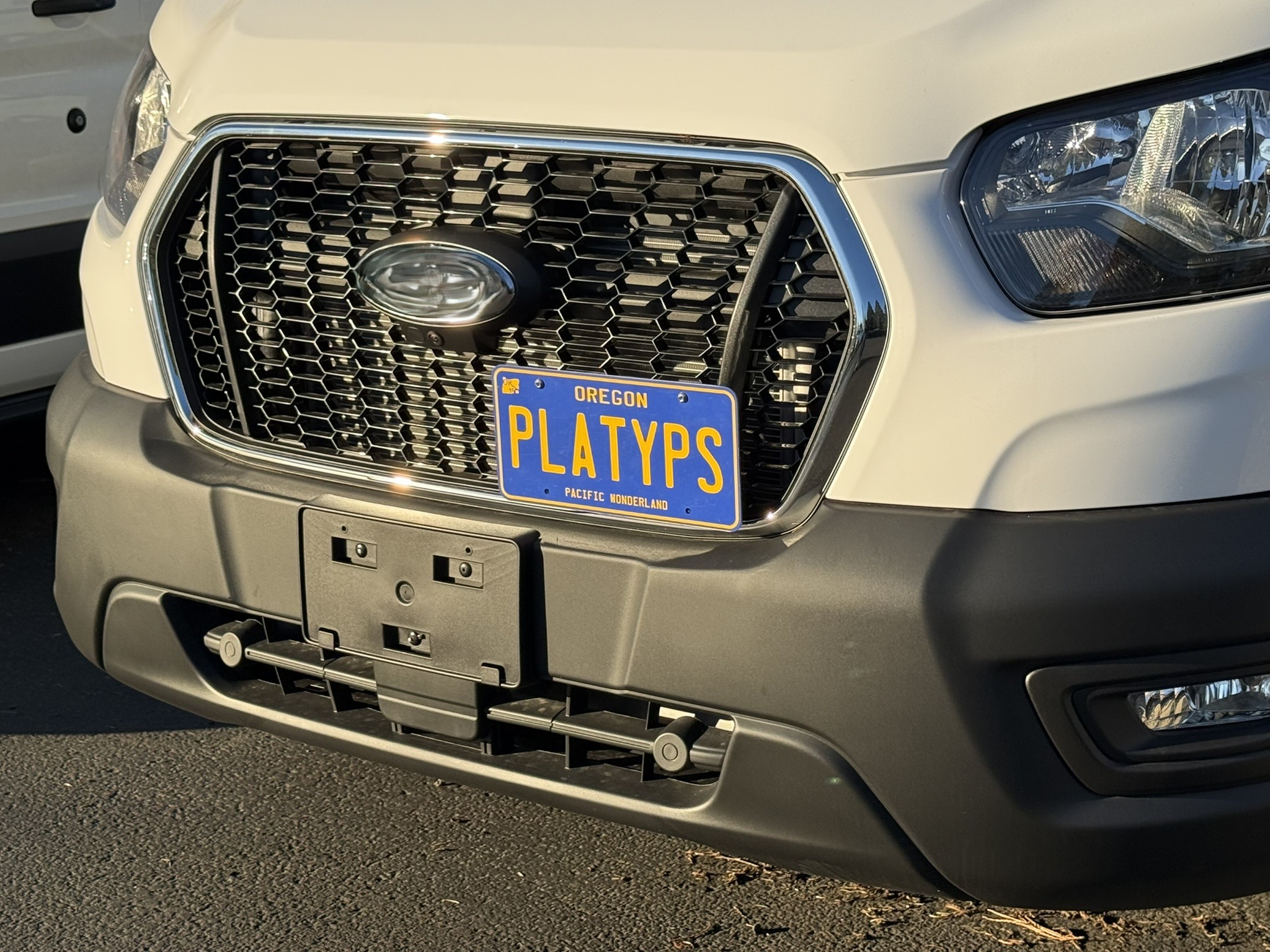 The Platypus License Plate Mount for Ford Transit Cargo Van 2020 to 2024