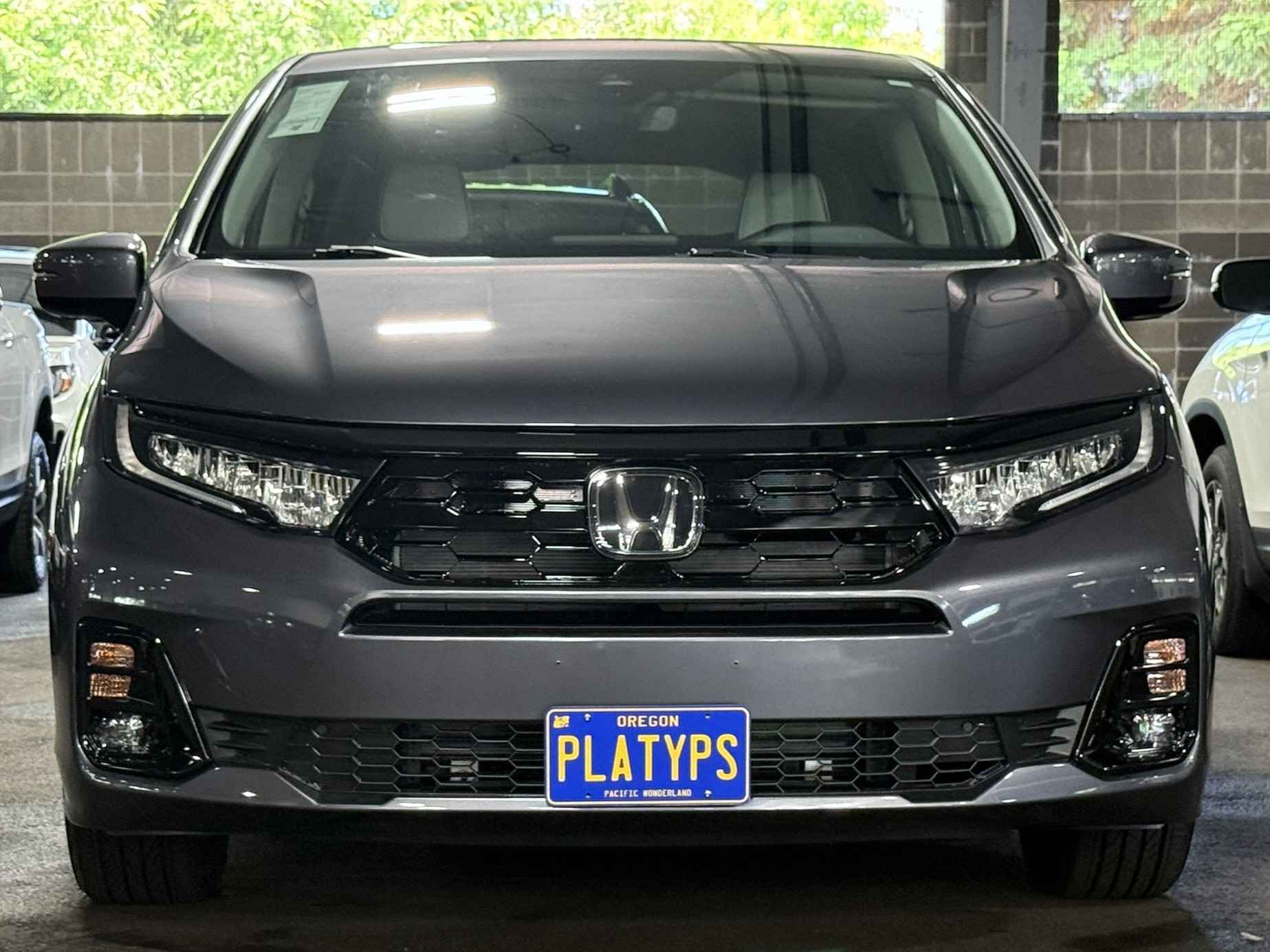 https://cdn11.bigcommerce.com/s-351ed/images/stencil/{:size}/products/23881/255493/the_platypus_license_plate_mount_for_honda_odyssey_5th_gen_2018_to_2024_XHTLK0T_23881__78030.1752165703.jpg?c=2