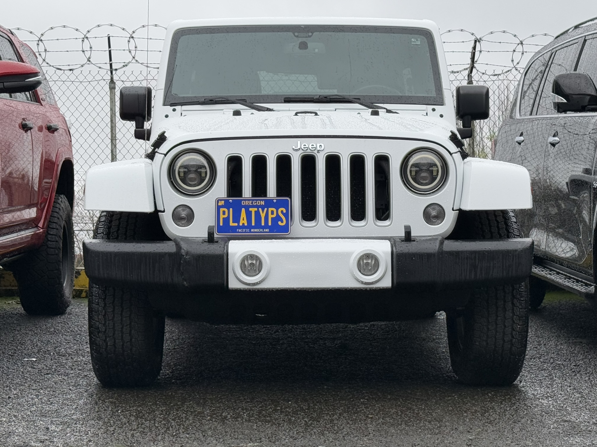 https://cdn11.bigcommerce.com/s-351ed/images/stencil/{:size}/products/24017/257828/the_platypus_license_plate_mount_for_jeep_wrangler_jk_2007_to_2018_GSQ61MI_24017__45758.1723831468.jpg?c=2
