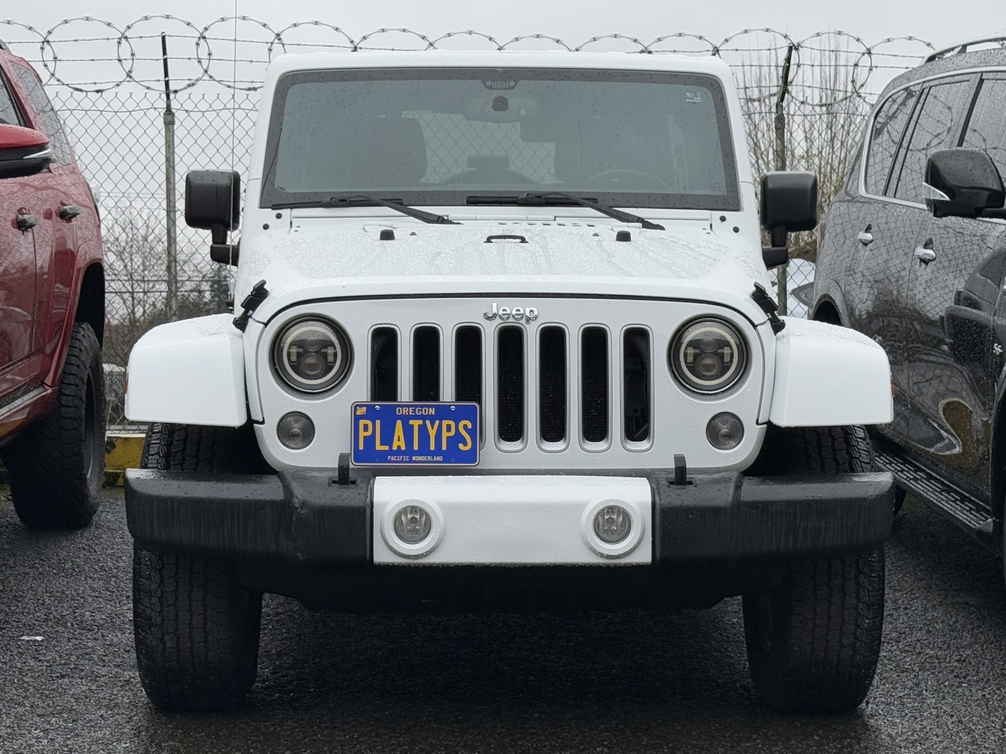 The Platypus License Plate Mount for Jeep Wrangler JK 2007 to 2018