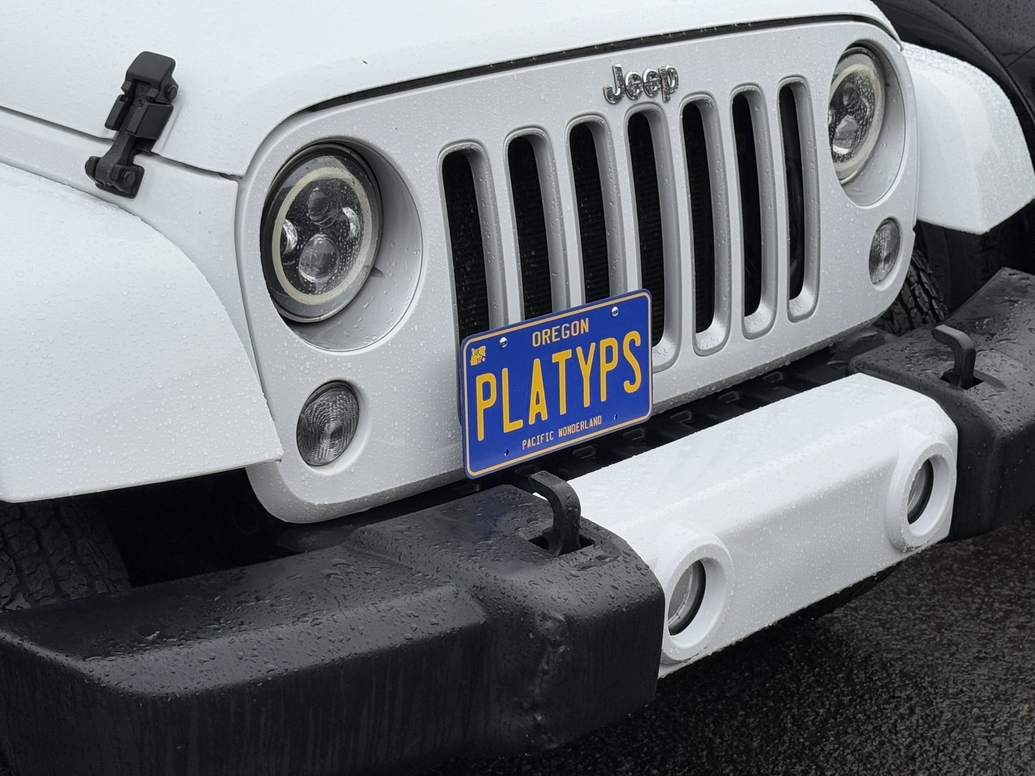 The Platypus License Plate Mount for Jeep Wrangler JK 2007 to 2018