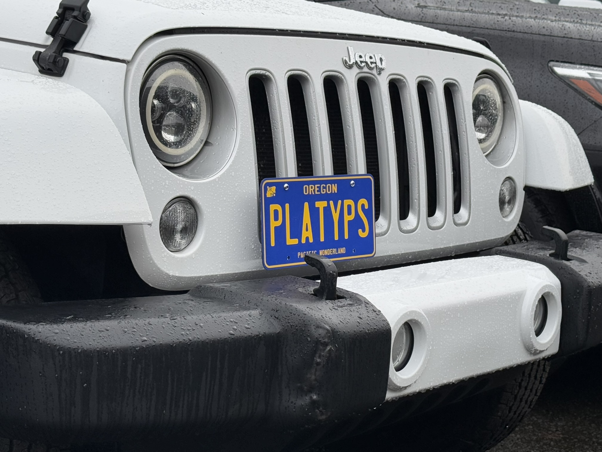 The Platypus License Plate Mount for Jeep Wrangler JK 2007 to 2018