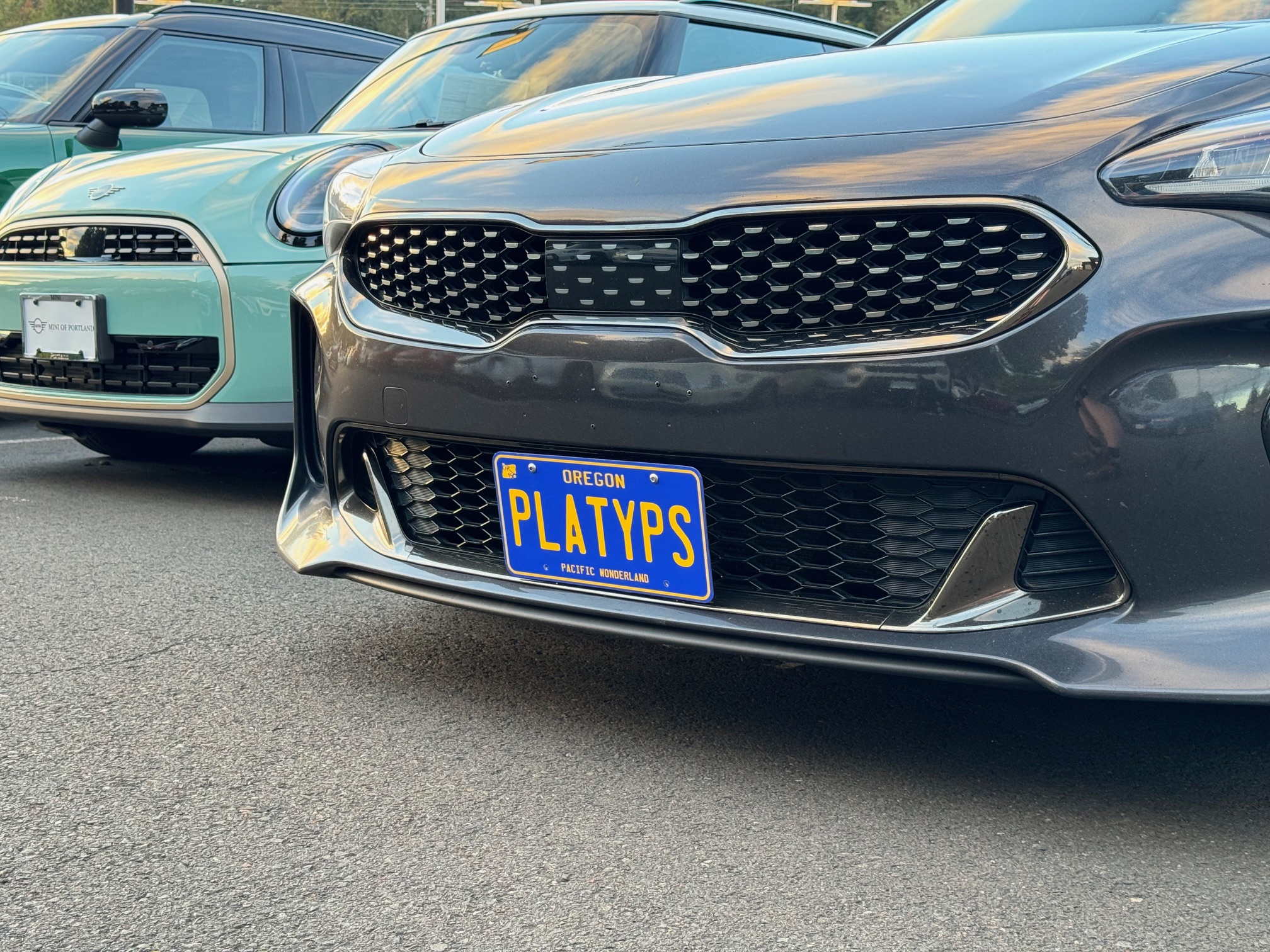 The Platypus License Plate Mount for Kia Stinger 2018 to 2023