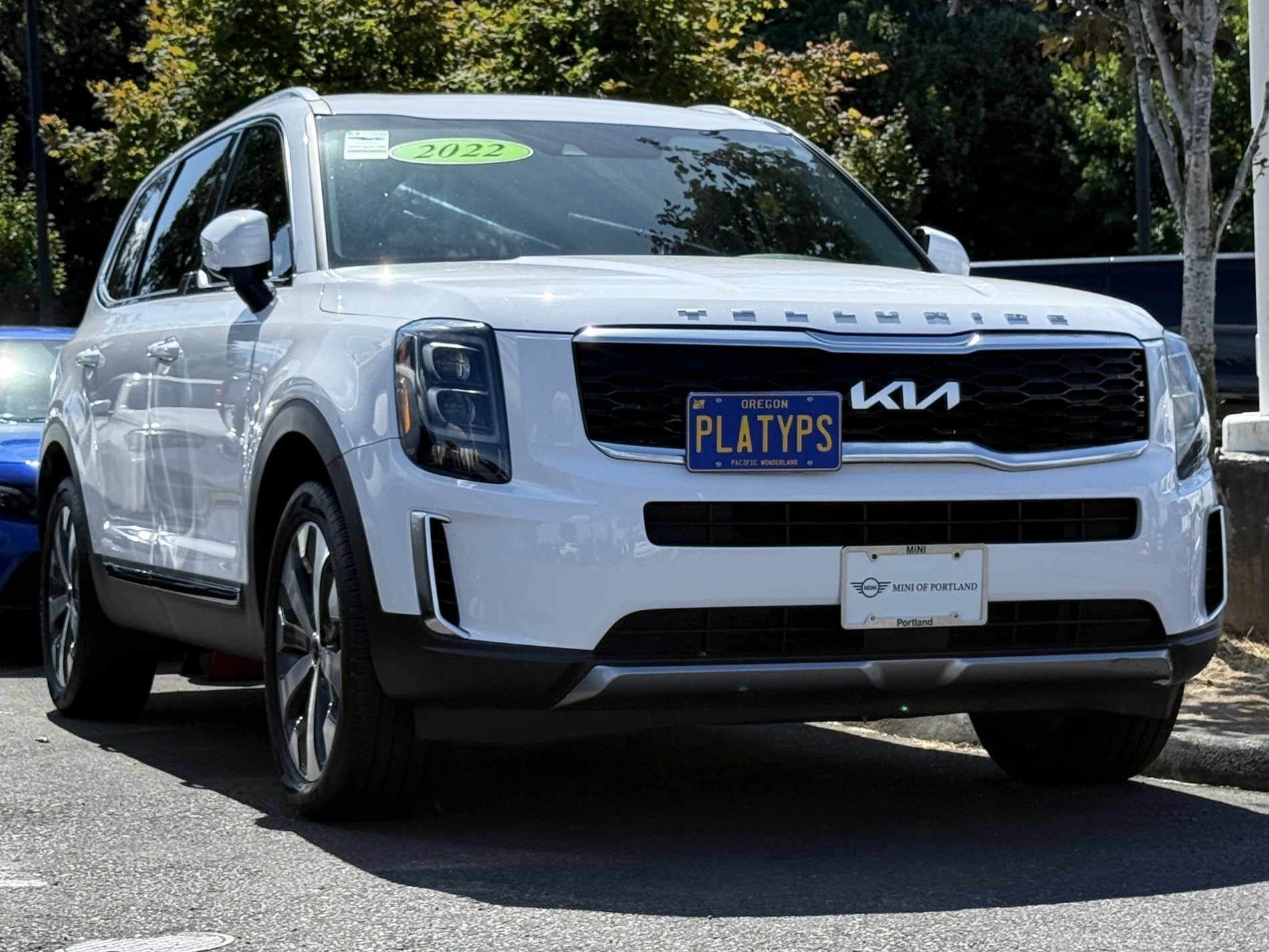 The Platypus License Plate Mount for Kia Telluride 2020 to 2024