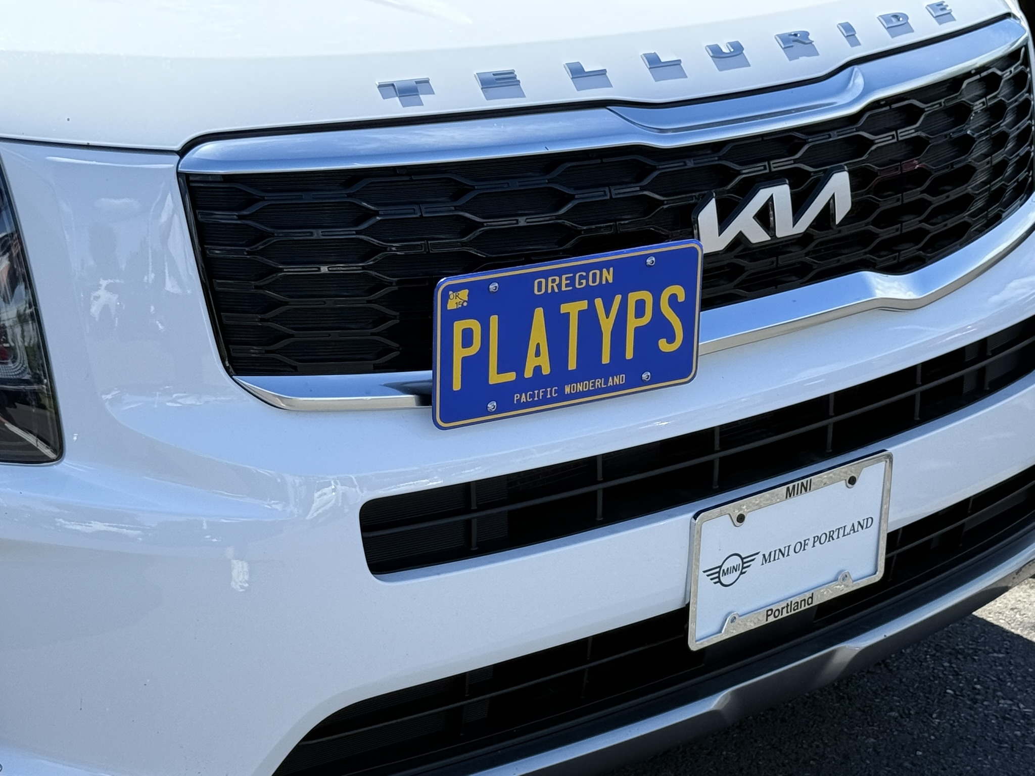 The Platypus License Plate Mount for Kia Telluride 2020 to 2024
