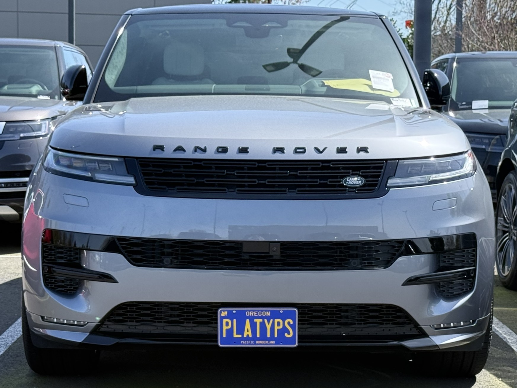 https://cdn11.bigcommerce.com/s-351ed/images/stencil/{:size}/products/24088/100048/the_platypus_license_plate_mount_for_land_rover_range_rover_sport_-_4JITGDE_24088__24743.1744047626.jpg?c=2