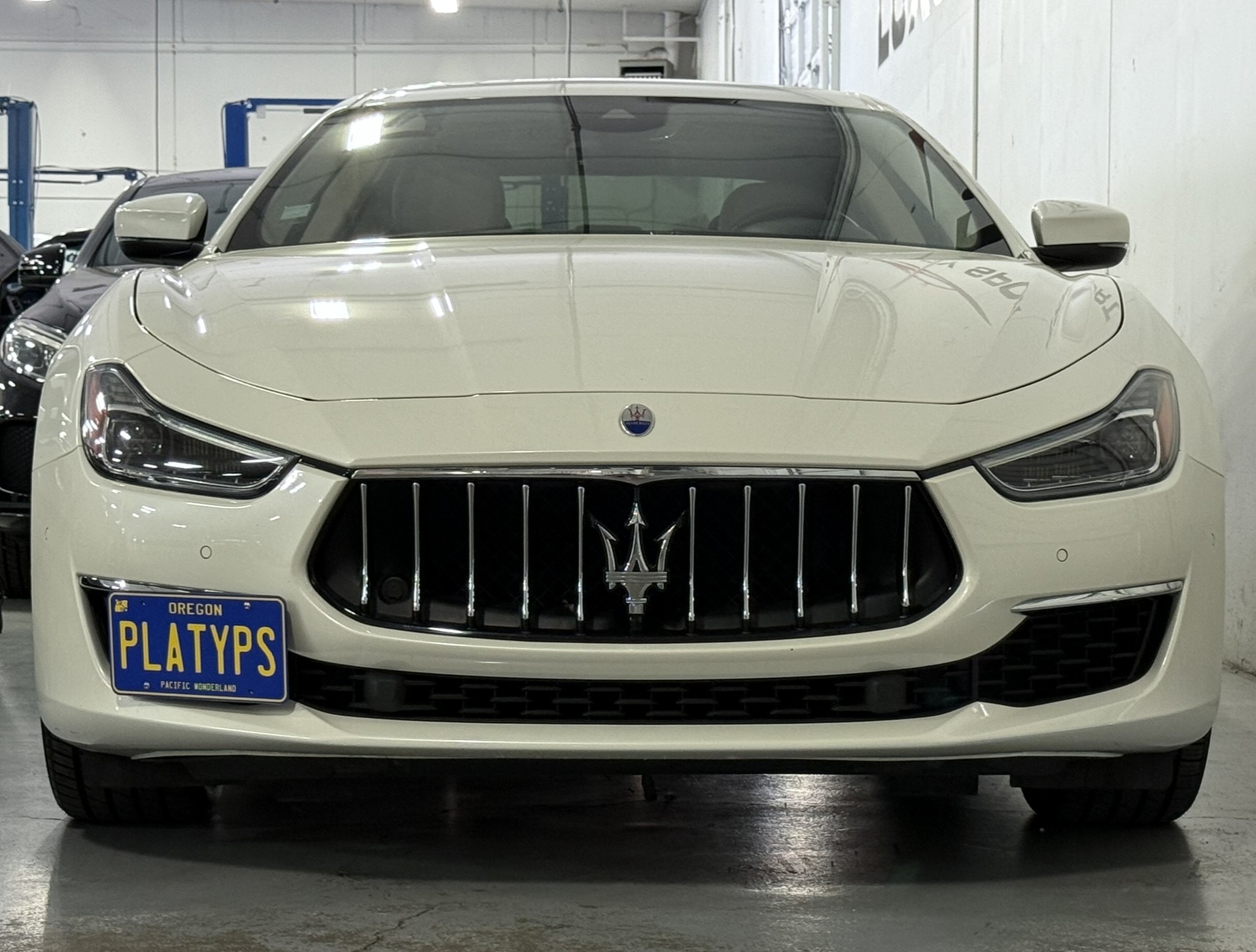 https://cdn11.bigcommerce.com/s-351ed/images/stencil/{:size}/products/24189/286437/the_platypus_license_plate_mount_for_maserati_ghibli_2014_to_2022_6H4VKEV_24189__45356.1756306990.jpg?c=2