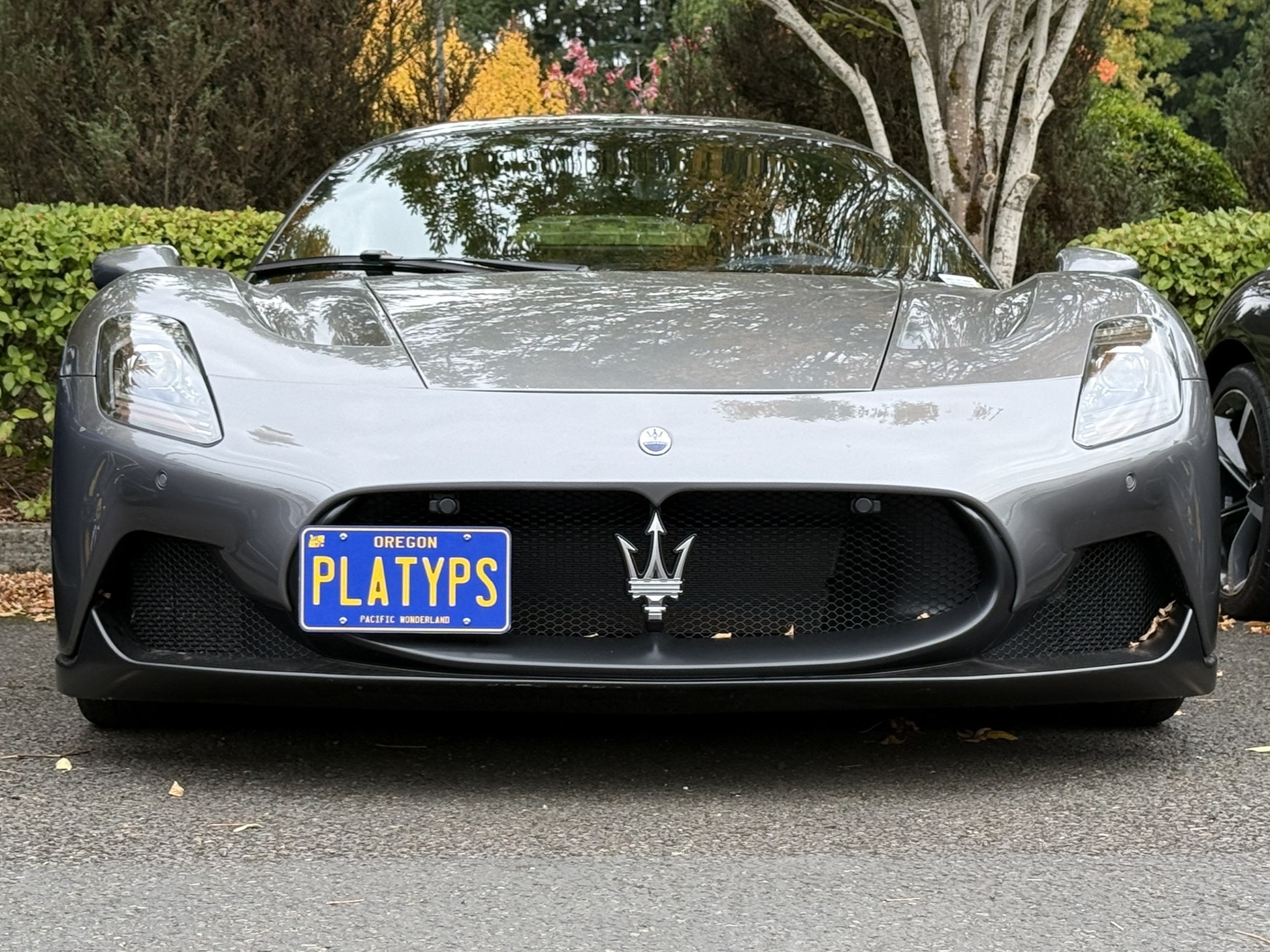 The Platypus License Plate Mount for Maserati MC20 1st gen 2022 to 2025