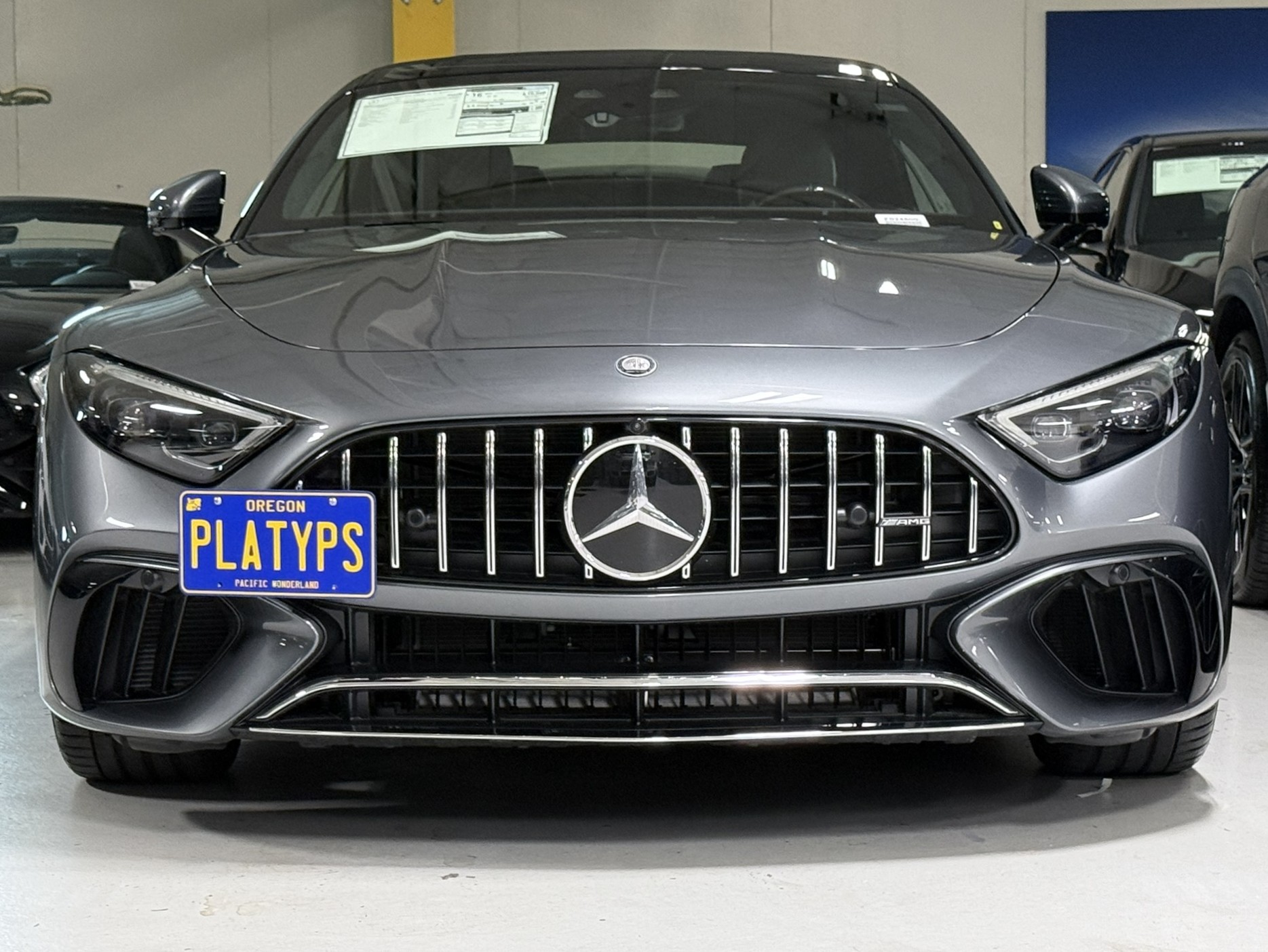 https://cdn11.bigcommerce.com/s-351ed/images/stencil/{:size}/products/24316/280268/the_platypus_license_plate_mount_for_mercedes-benz_sl-class_r232_2022_to_2025_amg_9KN2PJ3_24316__68746.1742226081.jpg?c=2
