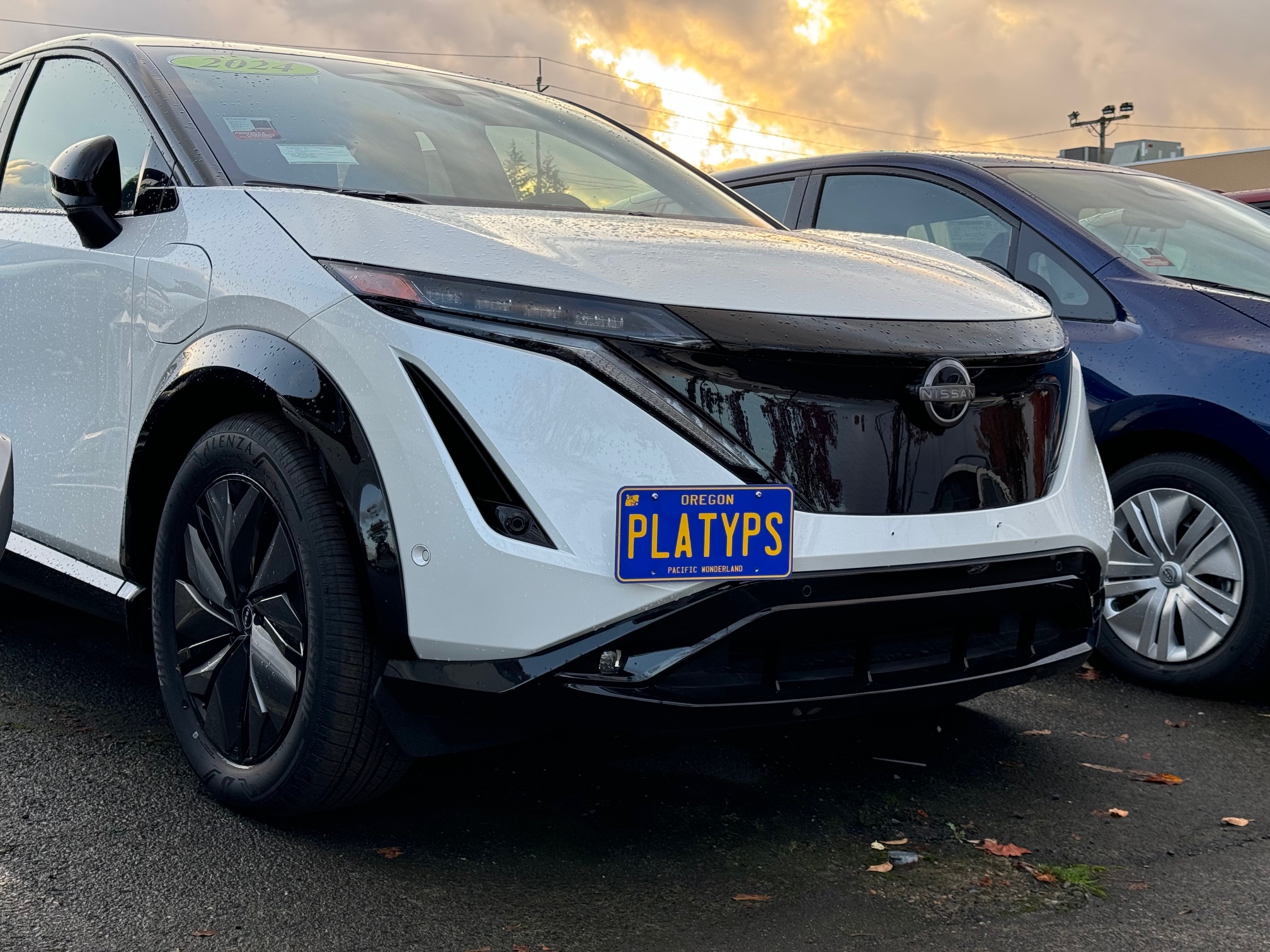 The Platypus License Plate Mount for Nissan ARIYA 2023 to 2023