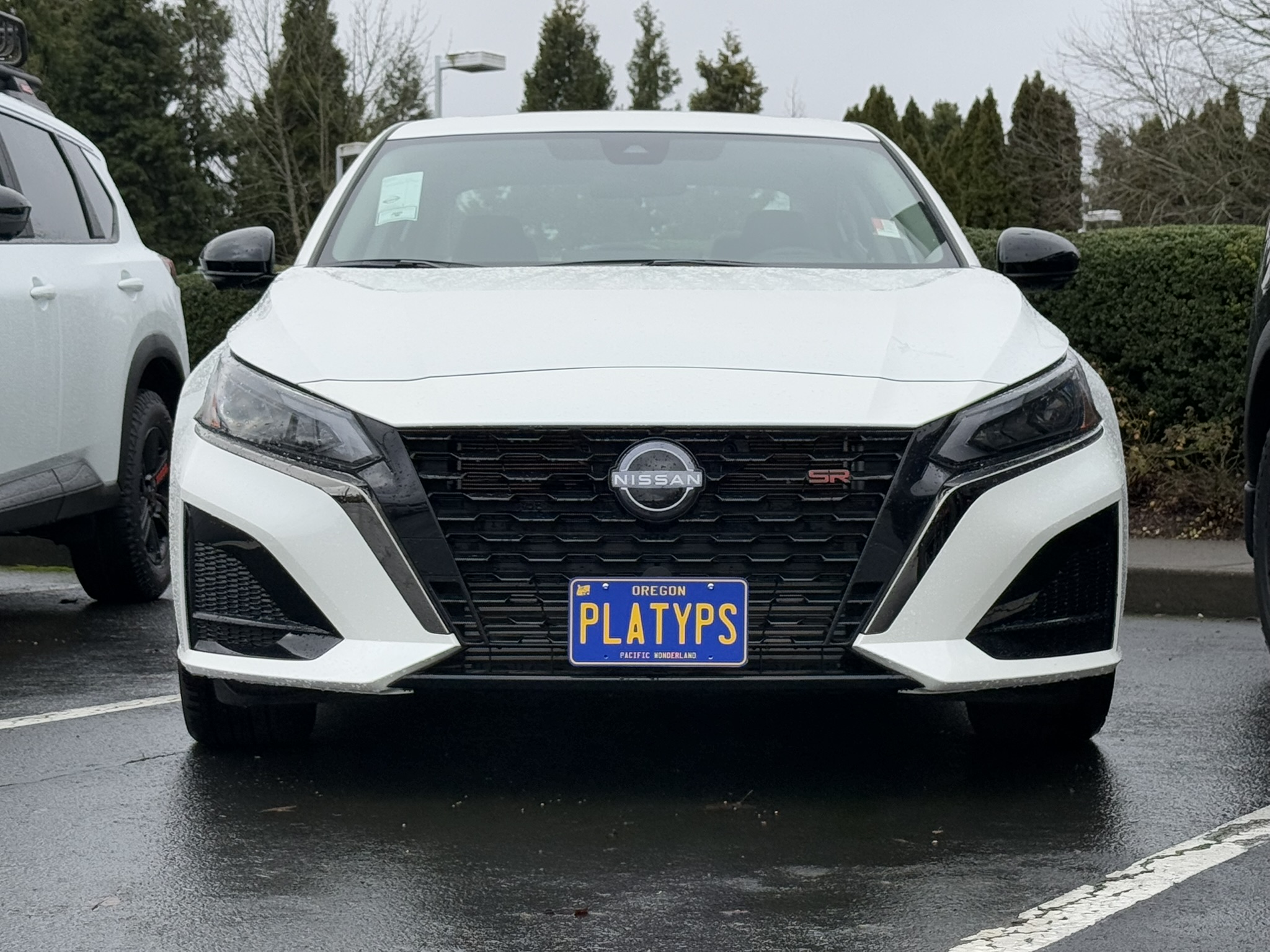 https://cdn11.bigcommerce.com/s-351ed/images/stencil/{:size}/products/24387/263468/the_platypus_license_plate_mount_for_nissan_altima_6th_gen_l34_2019_to_2024_NNVGPVK_24387__32328.1729630629.jpg?c=2