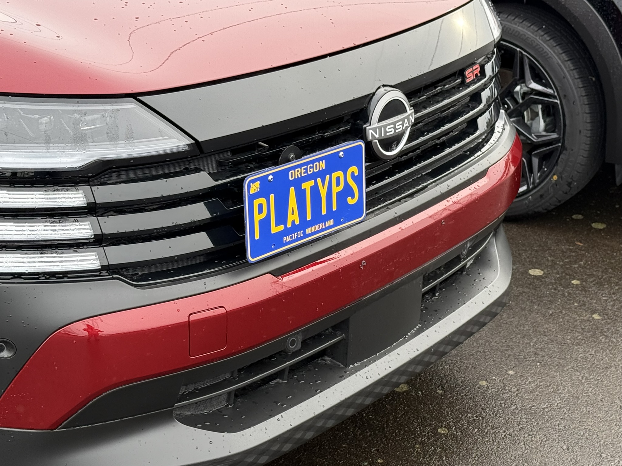 The Platypus License Plate Mount for Nissan Kicks 1st gen P15 2018 to 2025