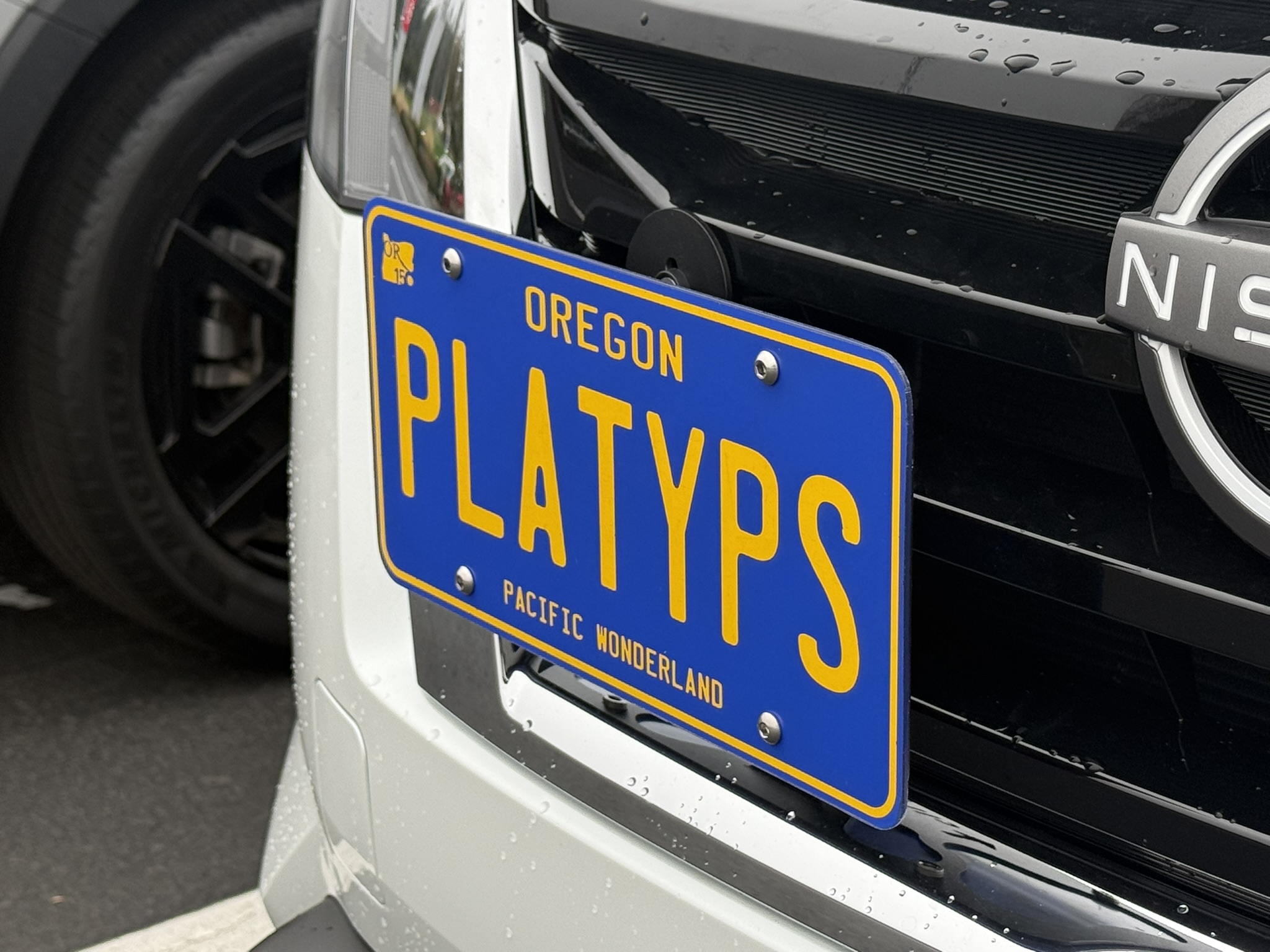 The Platypus License Plate Mount for Nissan Pathfinder 4th gen R53 2022 to 2025