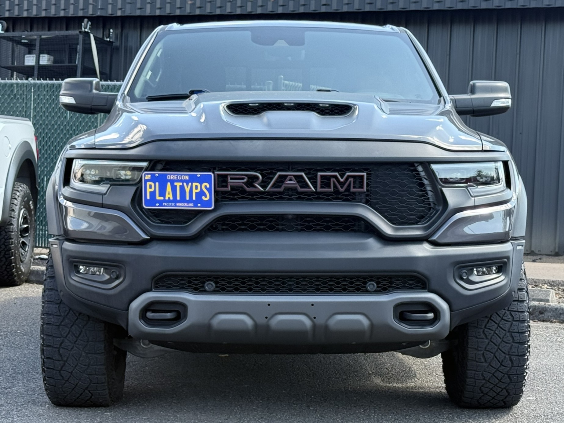 https://cdn11.bigcommerce.com/s-351ed/images/stencil/{:size}/products/24470/264247/the_platypus_license_plate_mount_for_ram_1500_5th_gen_2019_to_2025_7L65GBP_24470__91678.1729877157.jpg?c=2