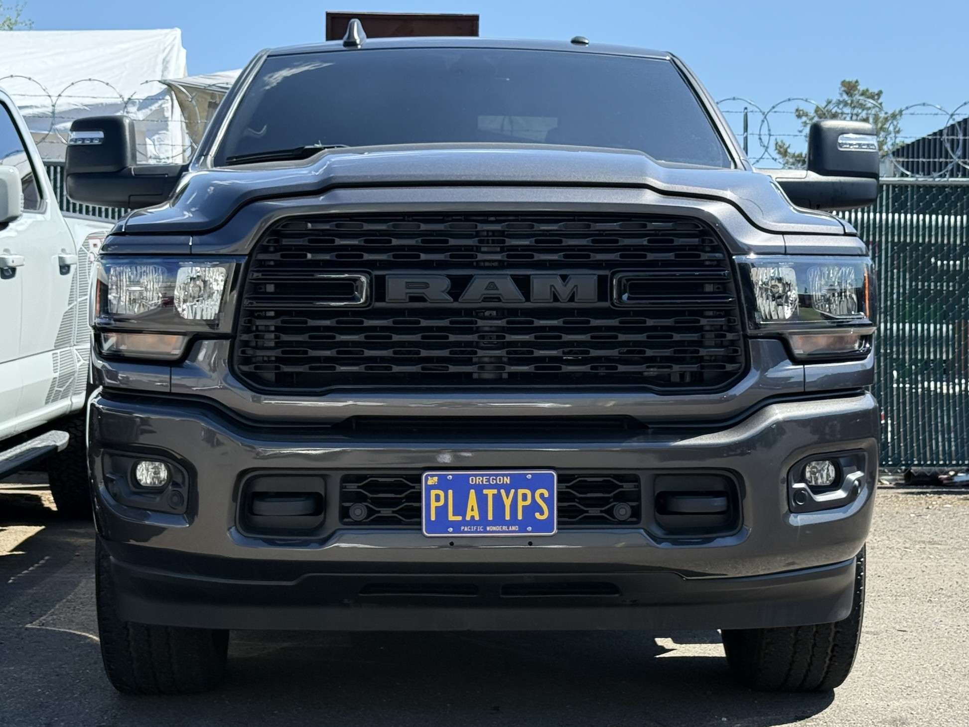 https://cdn11.bigcommerce.com/s-351ed/images/stencil/{:size}/products/24471/264359/the_platypus_license_plate_mount_for_ram_3500_5th_gen_2019_to_2024_D93LIPG_24471__17086.1729877296.jpg?c=2