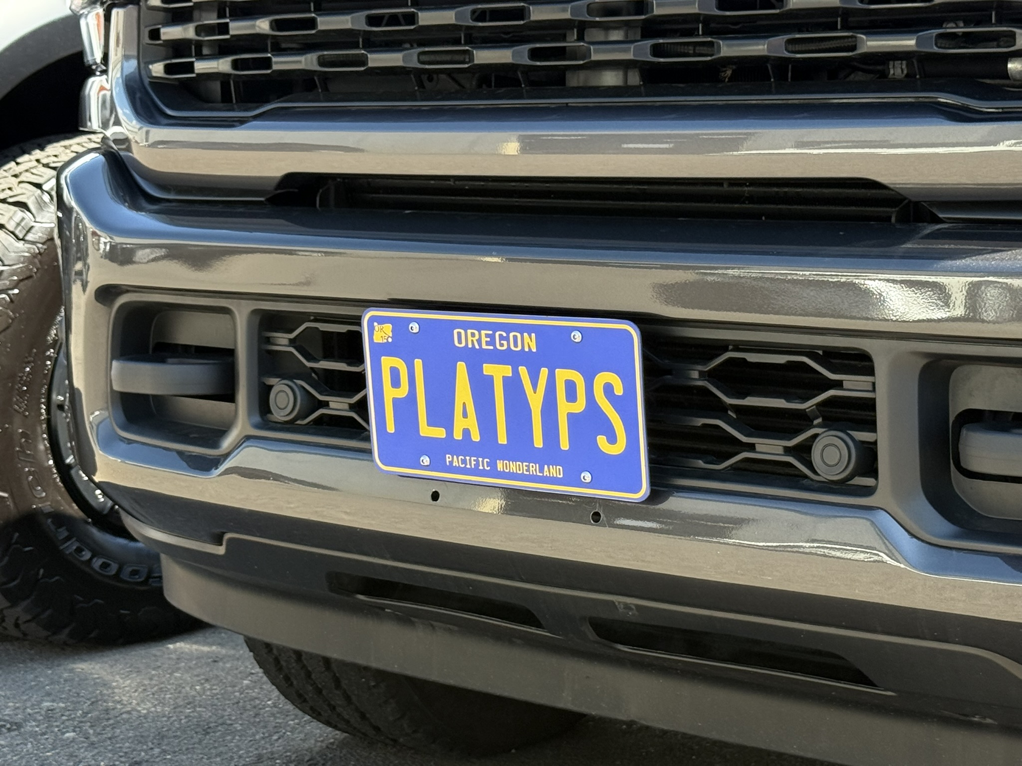 The Platypus License Plate Mount for Ram 3500 5th gen 2019 to 2024