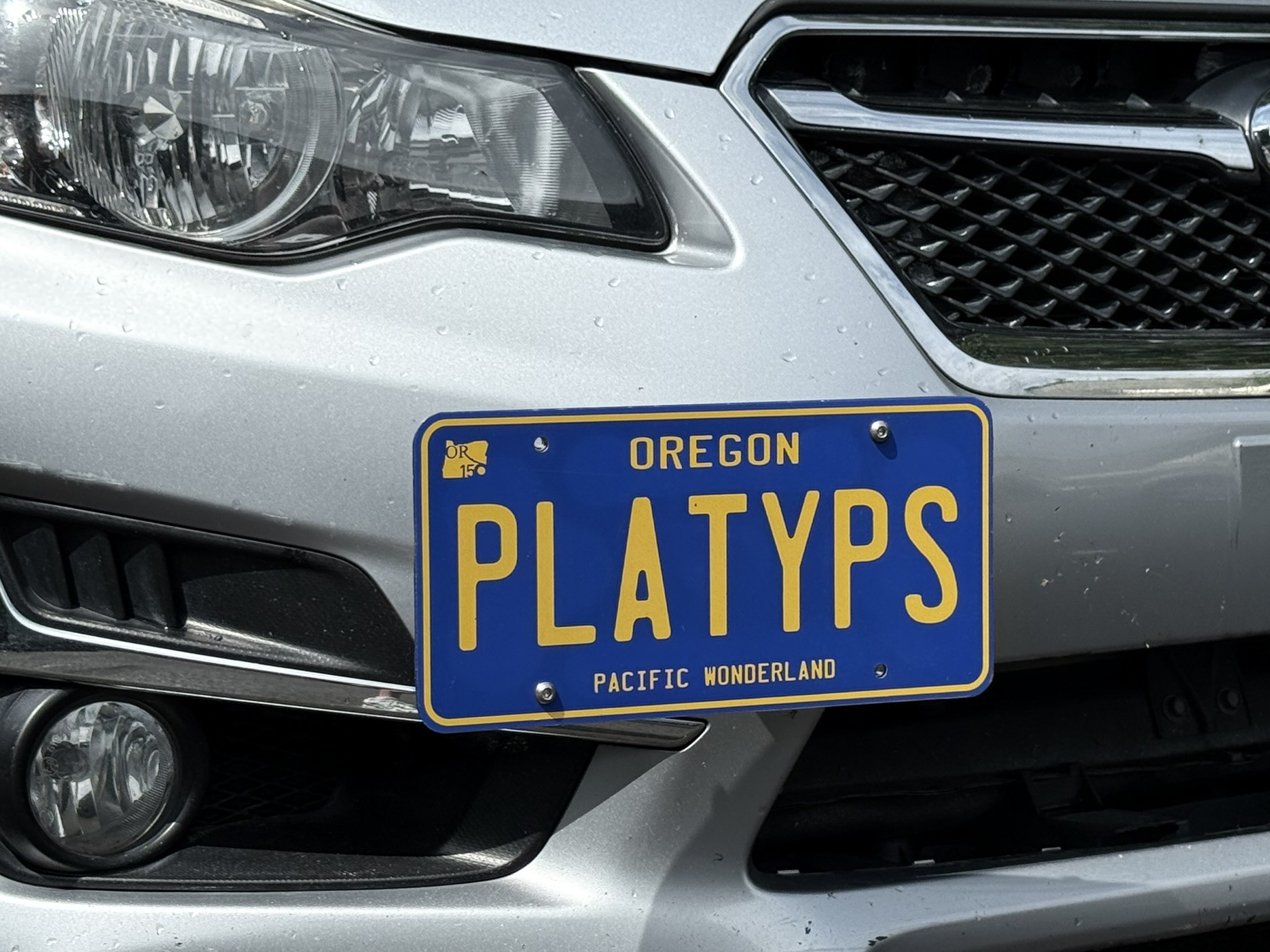 The Platypus License Plate Mount for Subaru Impreza 4th gen GP/GJ 2012 to 2016