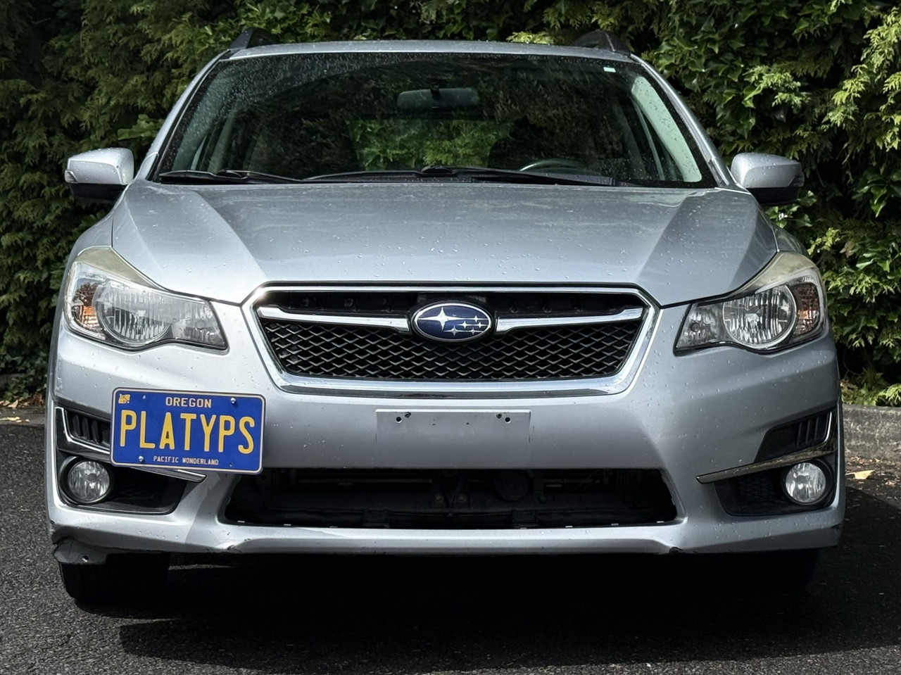 https://cdn11.bigcommerce.com/s-351ed/images/stencil/{:size}/products/24533/285306/the_platypus_license_plate_mount_for_subaru_impreza_wrx_4th_gen_gp_gj_2013_to_2014_SQBAUFV_24533__36807.1750886170.jpg?c=2