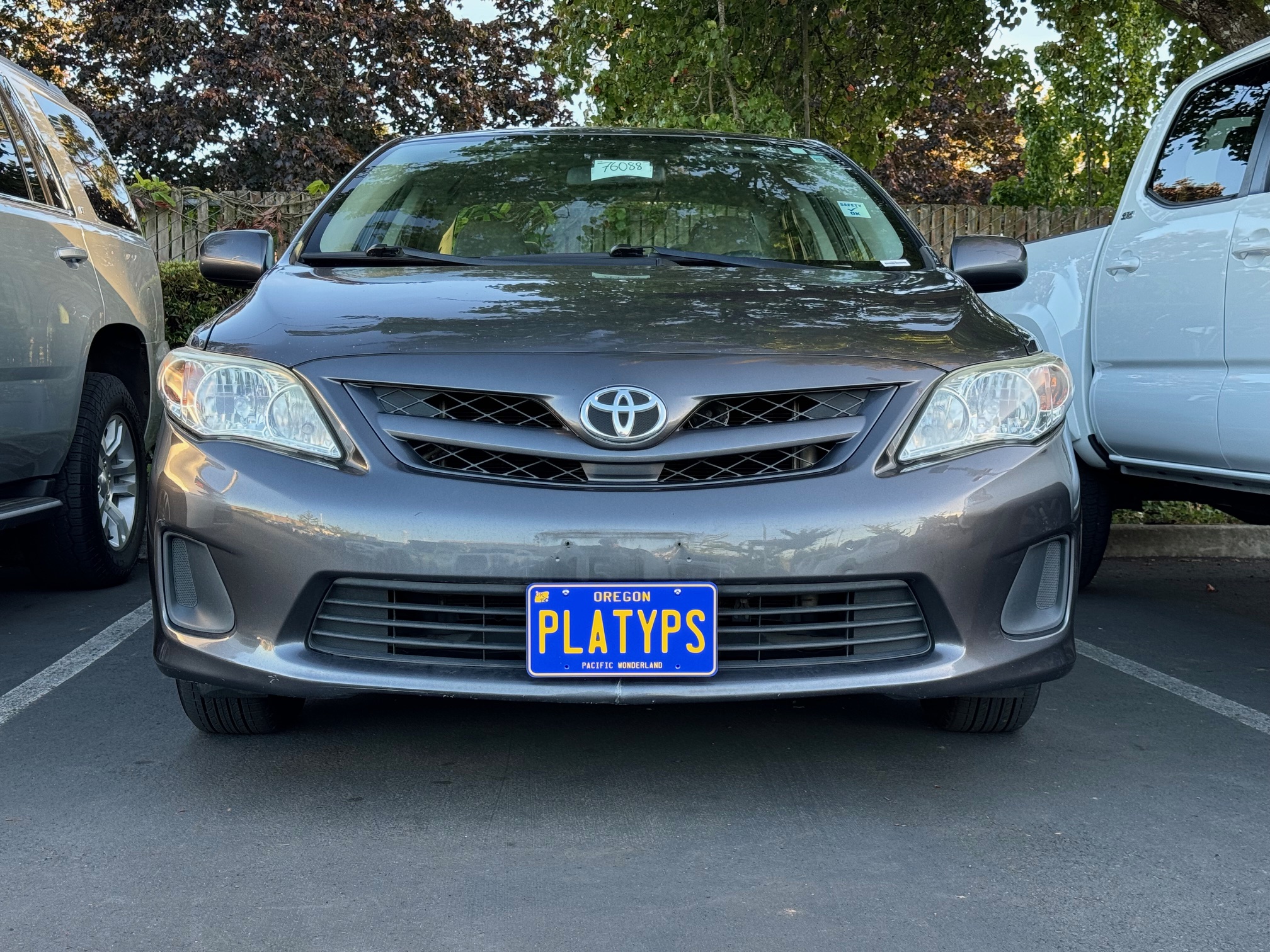https://cdn11.bigcommerce.com/s-351ed/images/stencil/{:size}/products/24581/235440/the_platypus_license_plate_mount_for_toyota_corolla_10th_gen_e140_2009_to_2013_NENGW6E_24581__97410.1709334051.jpg?c=2