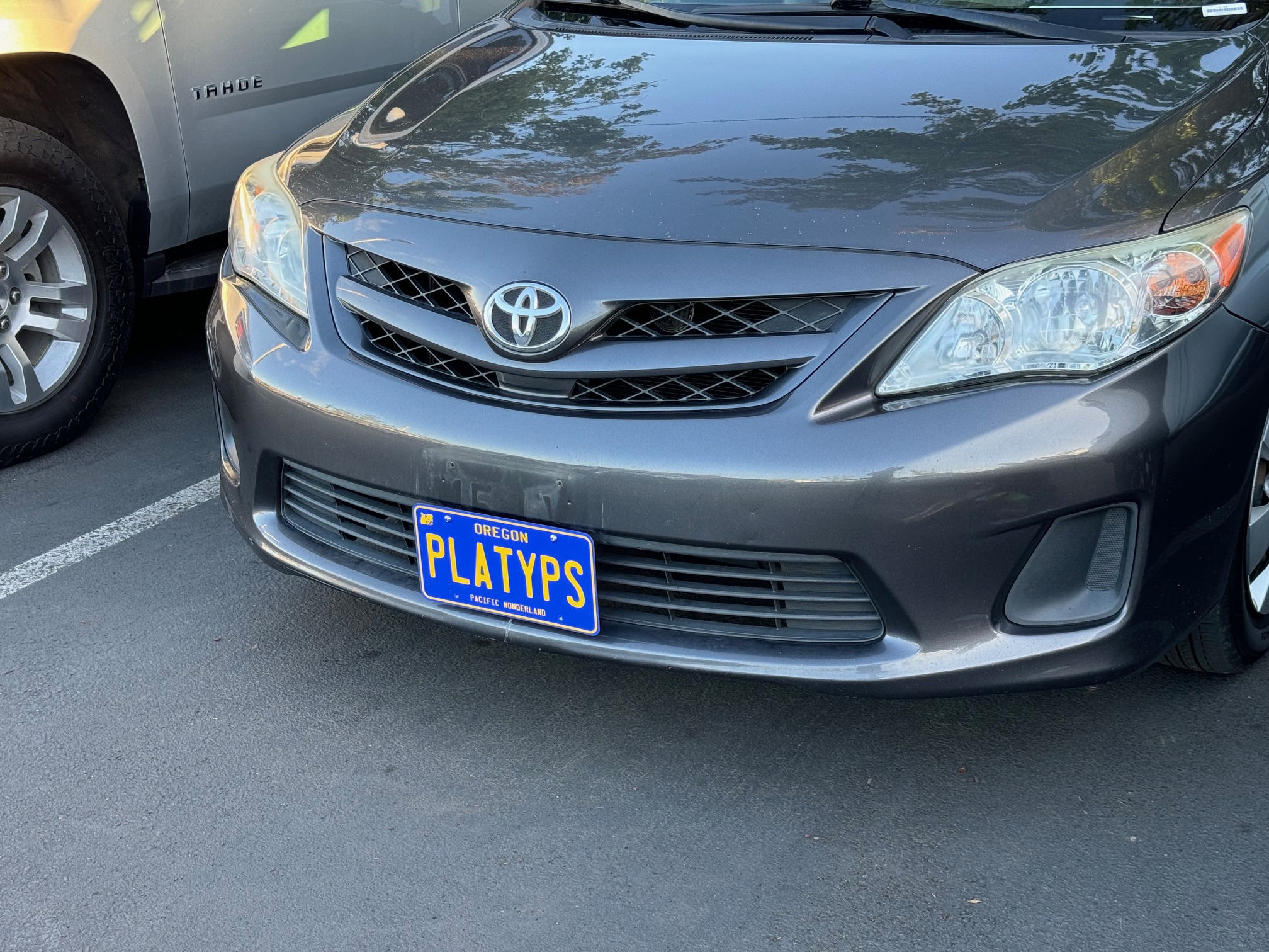 The Platypus License Plate Mount for Toyota Corolla 10th gen E140 2009 to 2013