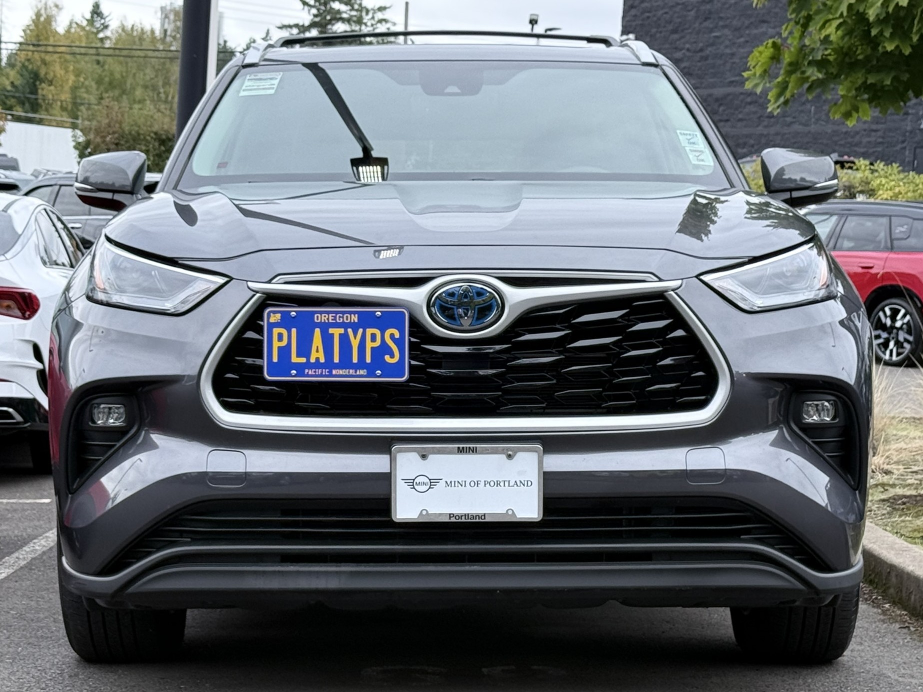 The Platypus License Plate Mount for Toyota Highlander Hybrid 4th gen XU70 2020 to 2025
